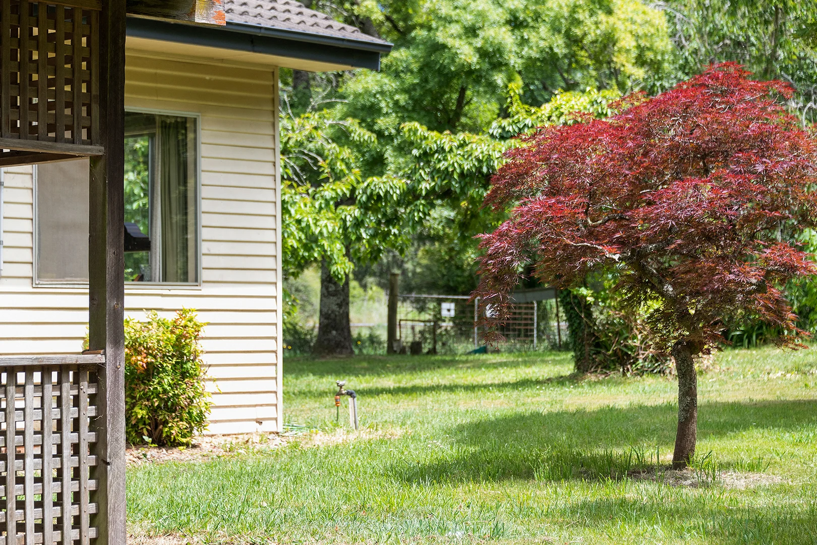 Additional image 18 of 85 Ringwood Road, Exeter NSW 2579