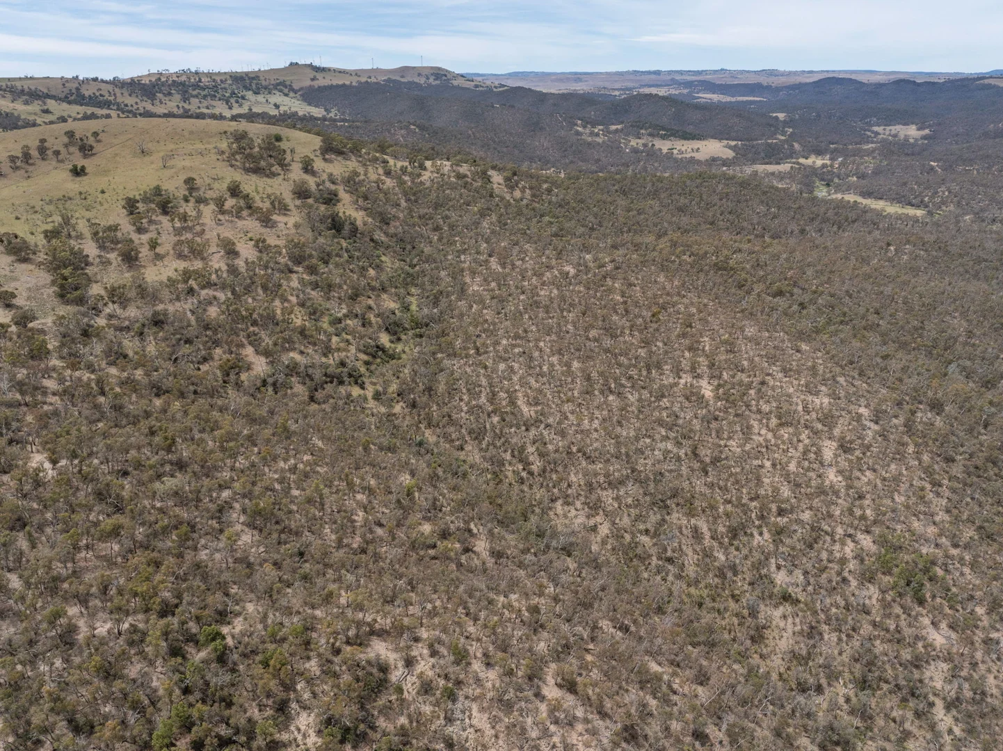 Additional image 11 of 255 Barkers Lake Road, Bungarby NSW 2630