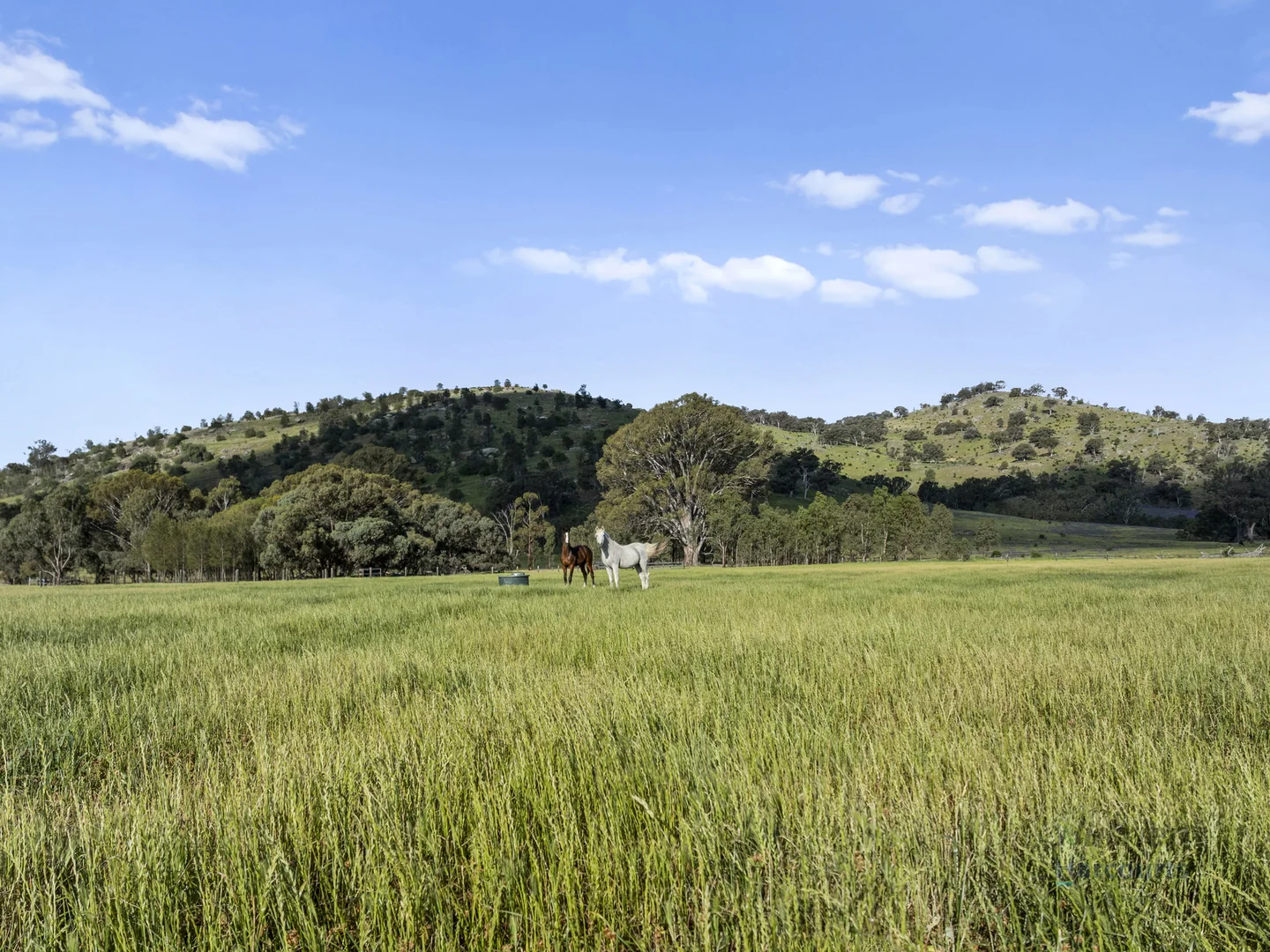 Additional image 28 of 778 Sheans Creek Road, Euroa VIC 3666