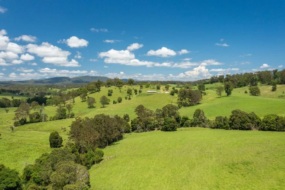 Additional image 28 of 310 Yessabah Road, Yessabah NSW 2440