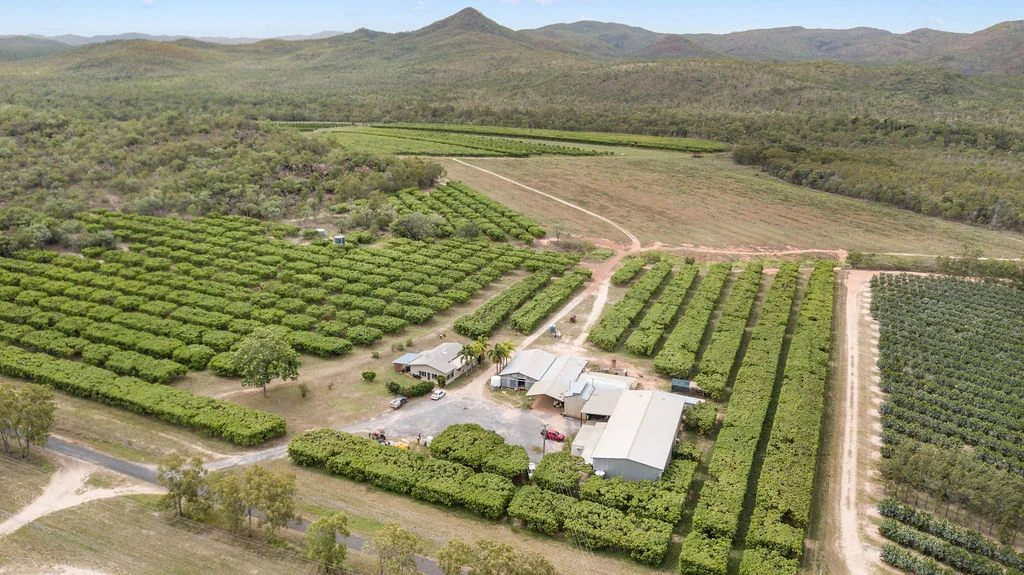 Additional image 2 of 1151 Leafgold Weir Road, Dimbulah QLD 4872