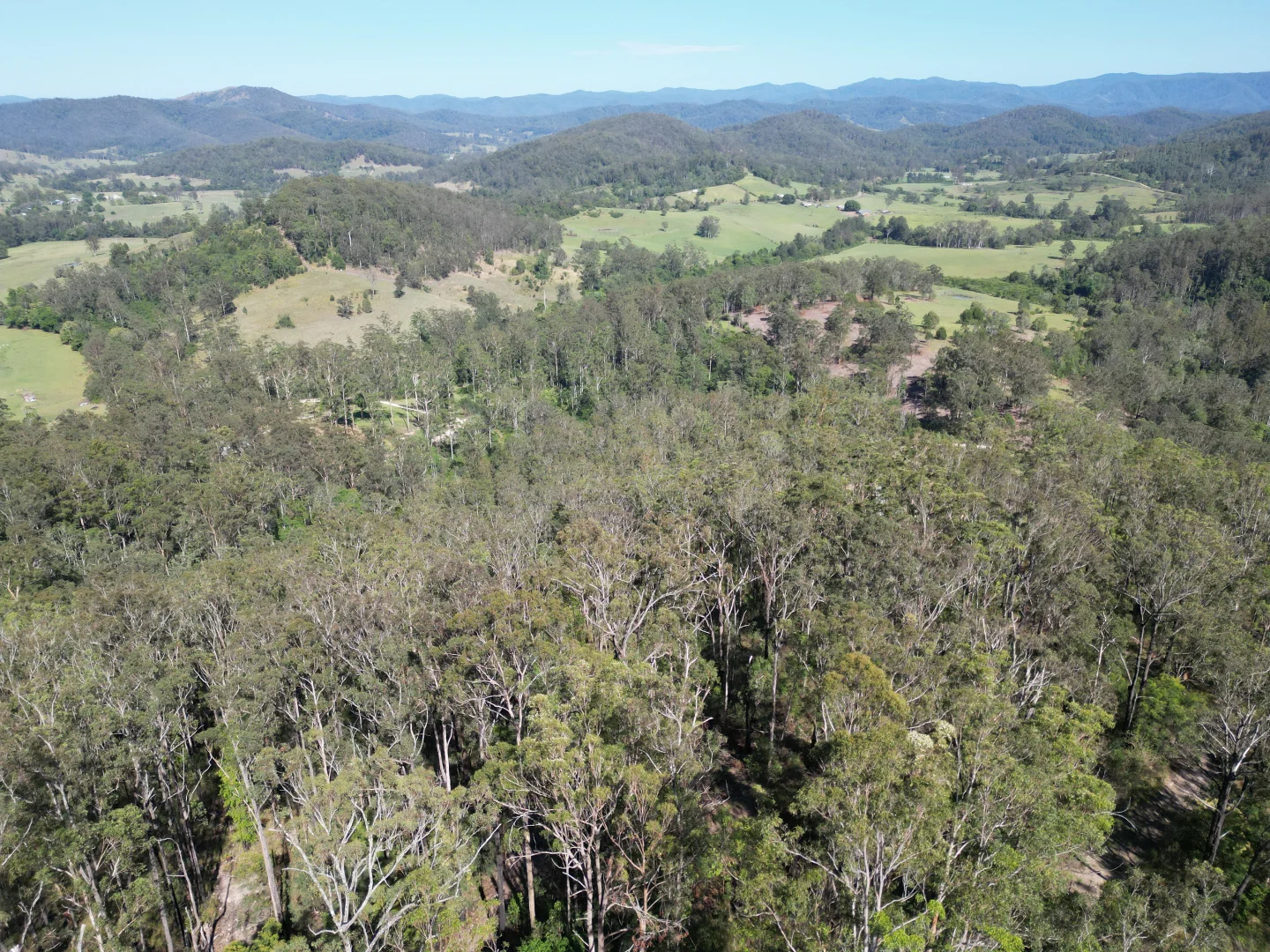 Additional image 11 of 211, 212 Robinson Road, Marlee NSW 2429