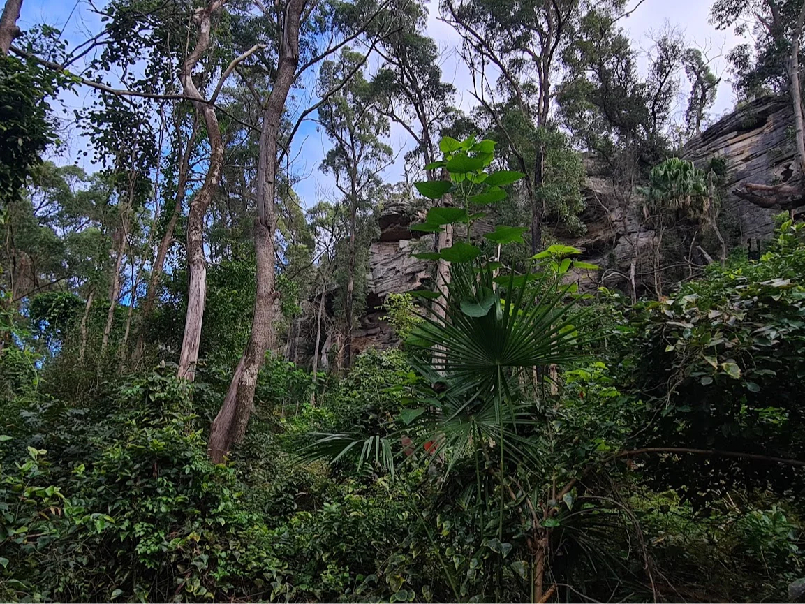 Additional image 2 of Illaroo NSW 2540