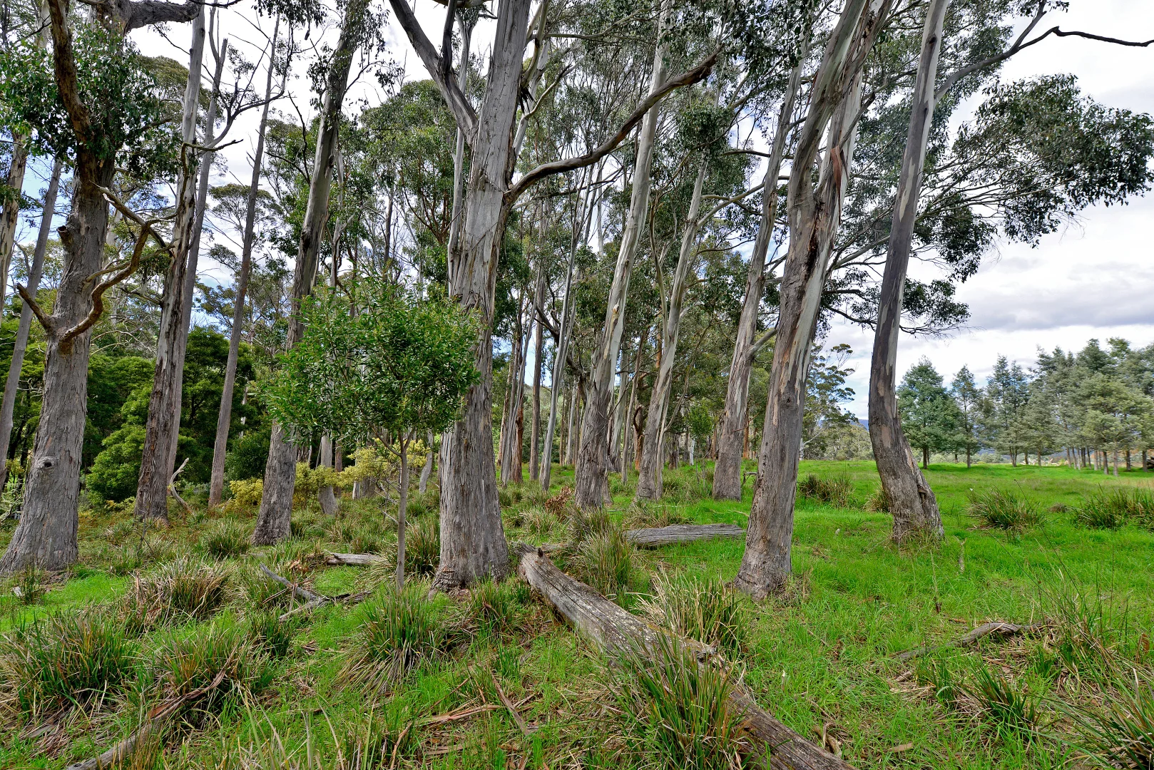 Additional image 8 of 8415 Lyell Highway, Ouse TAS 7140