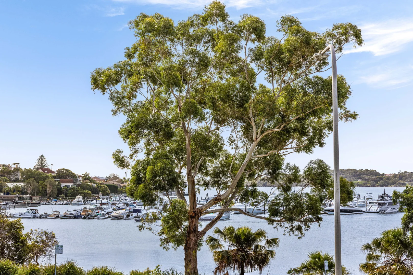 Additional image 4 of 6/1A Rose Bay Ave, Rose Bay NSW 2029