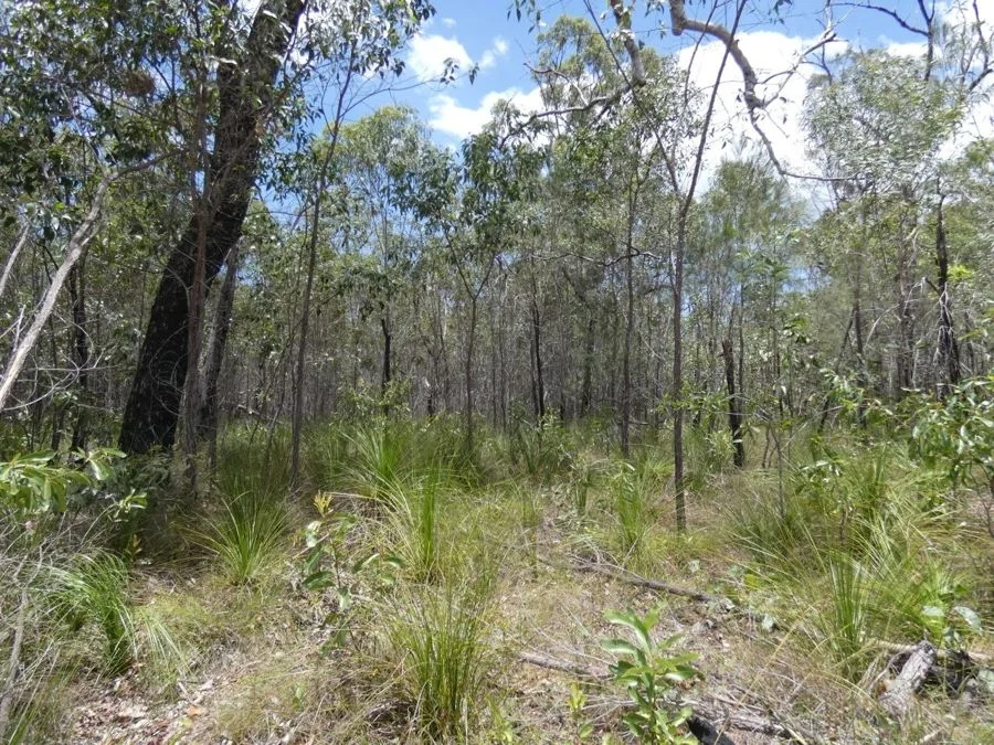 Additional image 18 of 668 Matchbox Road, Deepwater QLD 4674