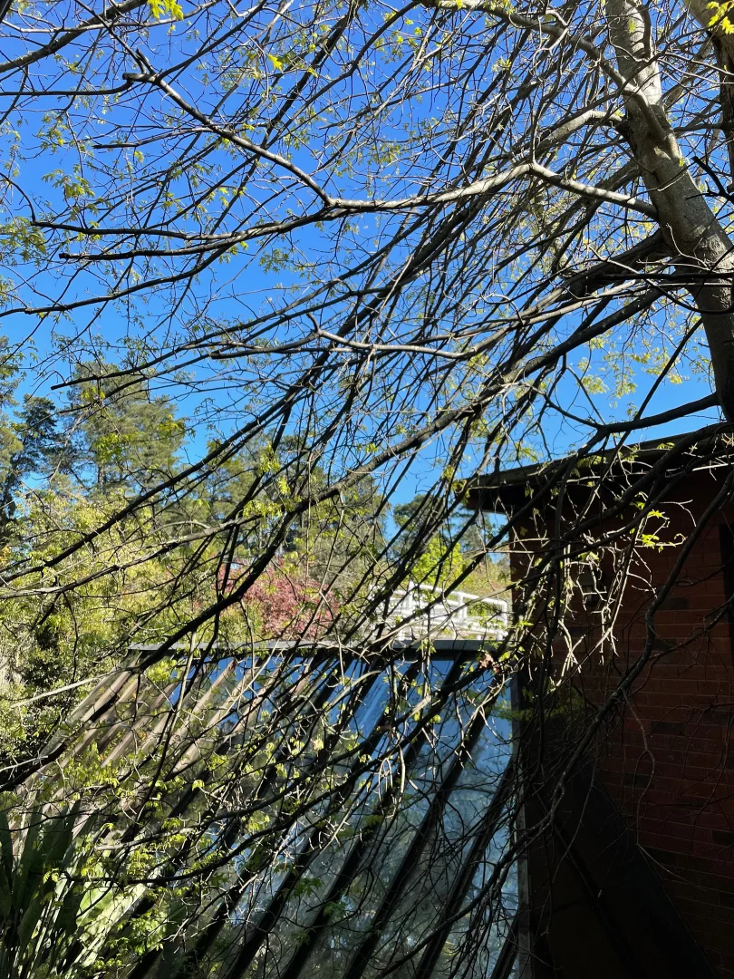 Additional image 30 of 6 MOZART CIRCLE, Donvale VIC 3111