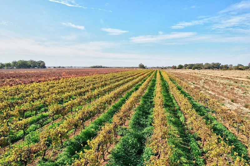 Additional image 14 of 232 Arnold Coats Road, Cobdogla SA 5346