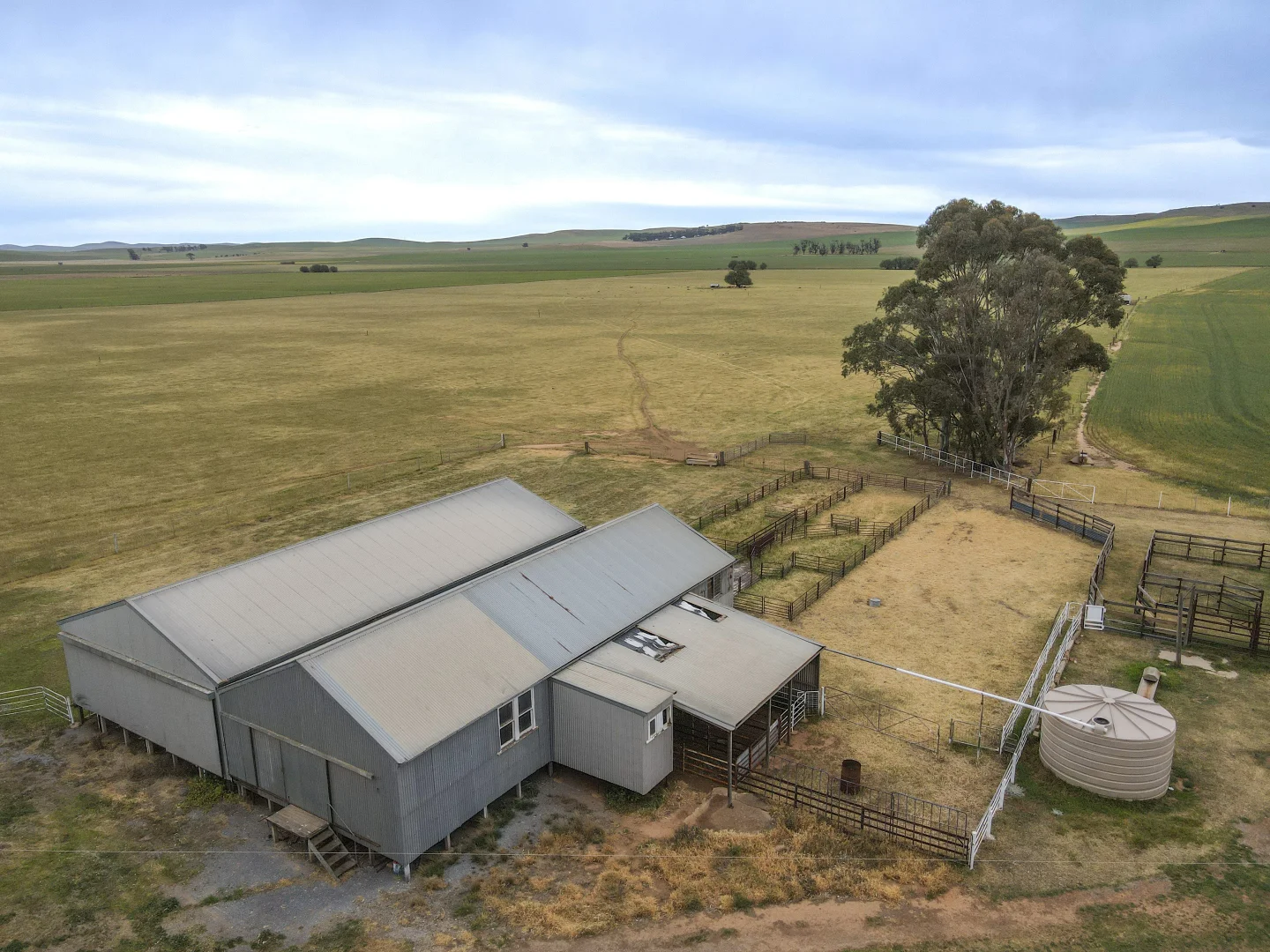 Additional image 7 of 'Lucerne Park' Booborowie Rd, Booborowie SA 5417