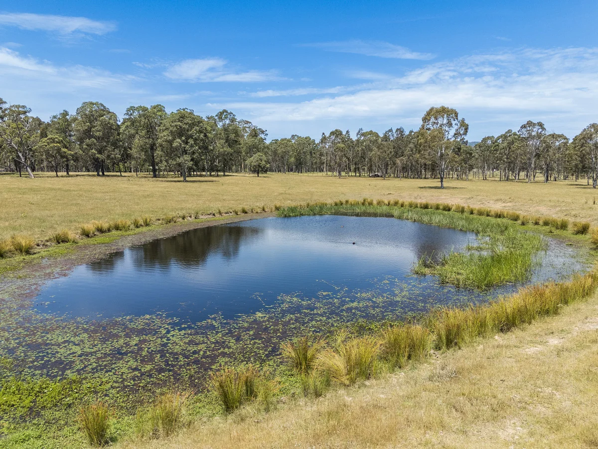 Additional image 12 of 1189 Sandy Creek Road, Quorrobolong NSW 2325