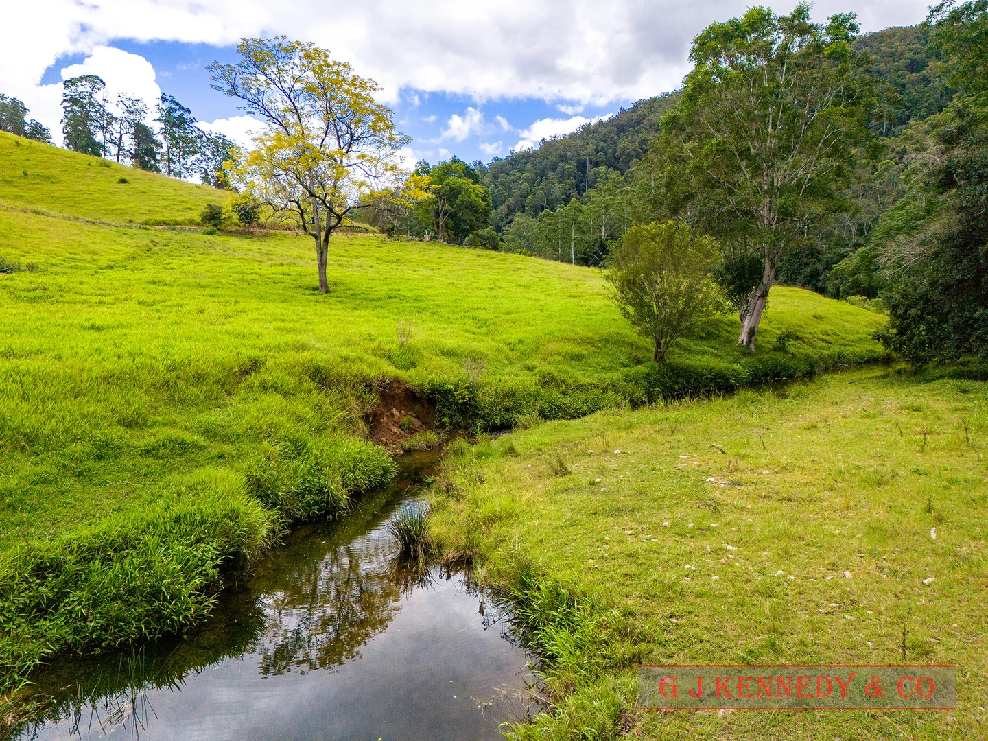 Additional image 17 of 123 Thumb Creek Rd, Thumb Creek NSW 2447