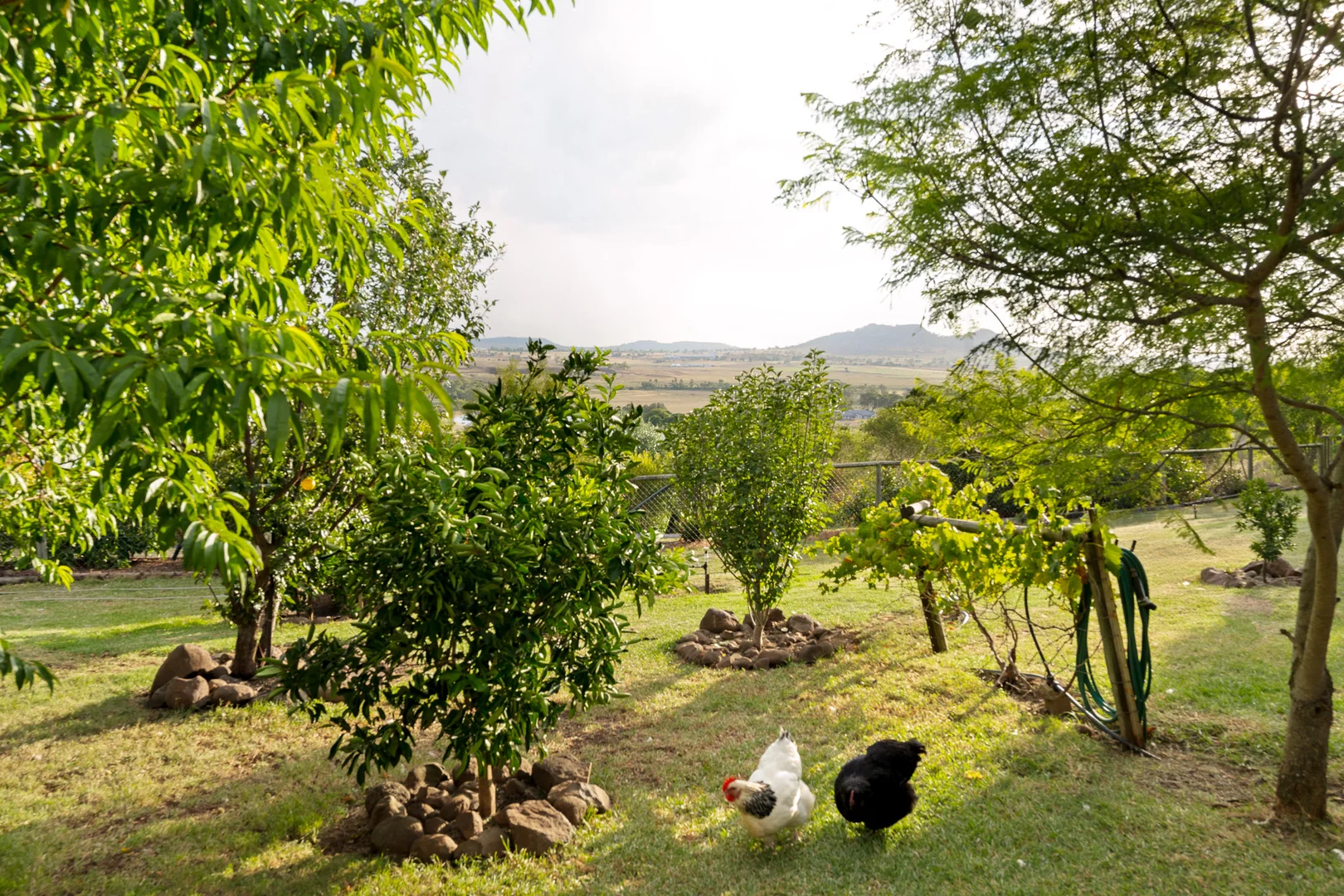 Additional image 6 of 13 Panorama Crescent, Gowrie Junction QLD 4352