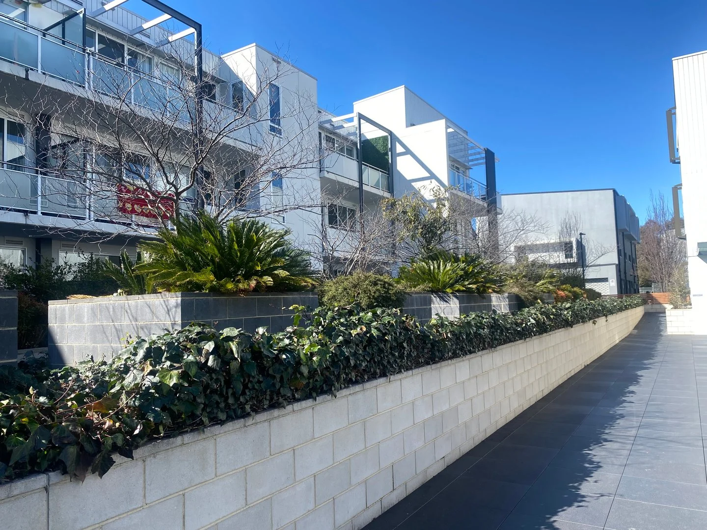 Additional image 12 of 32/1 Surprize Place, Phillip ACT 2606