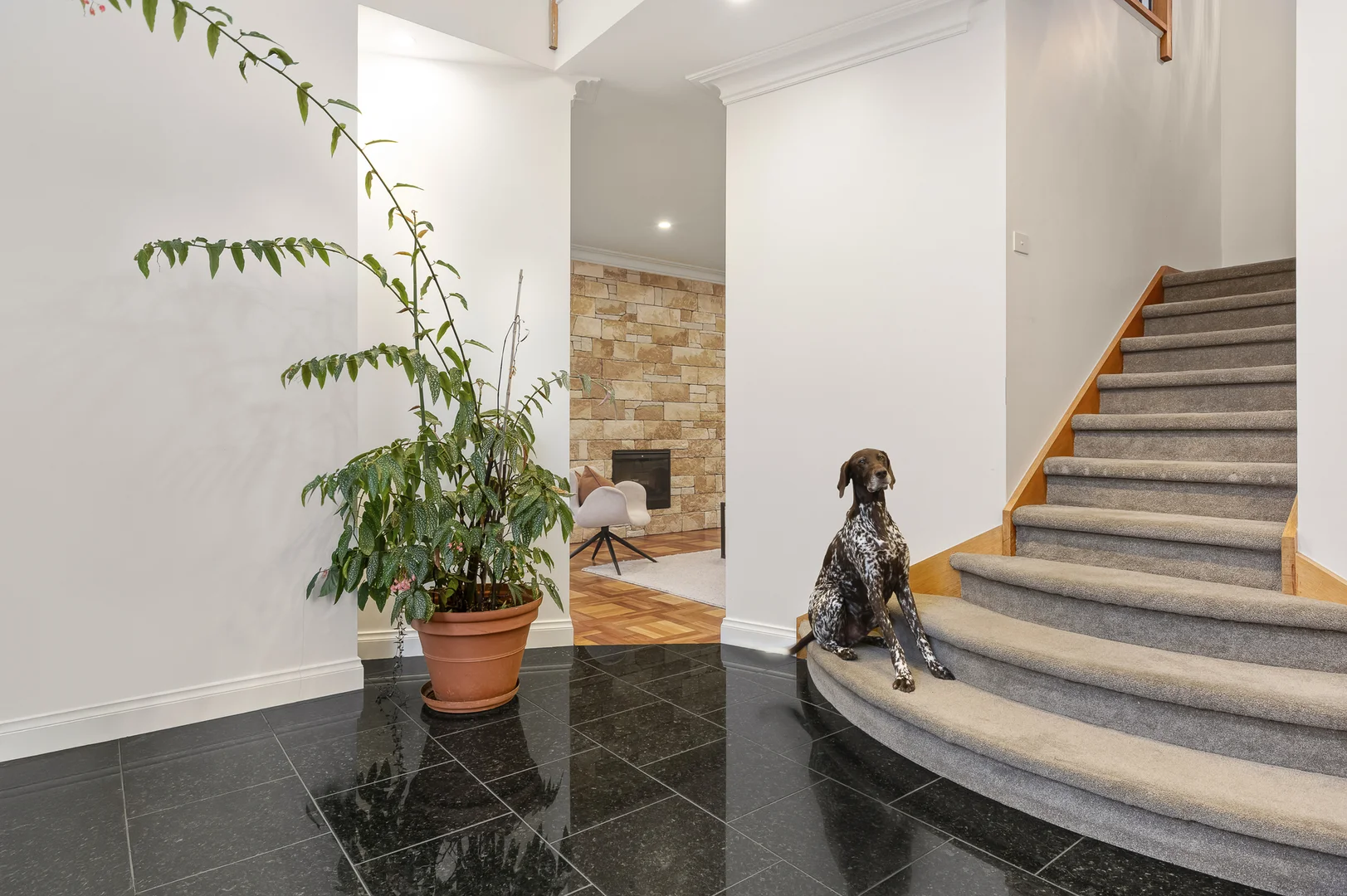 Additional image 5 of 195B Nepean Highway, Aspendale VIC 3195