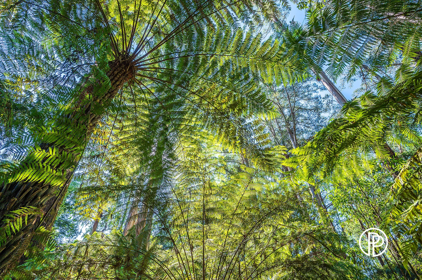 Additional image 5 of 330 Prices Road, Gladysdale VIC 3797