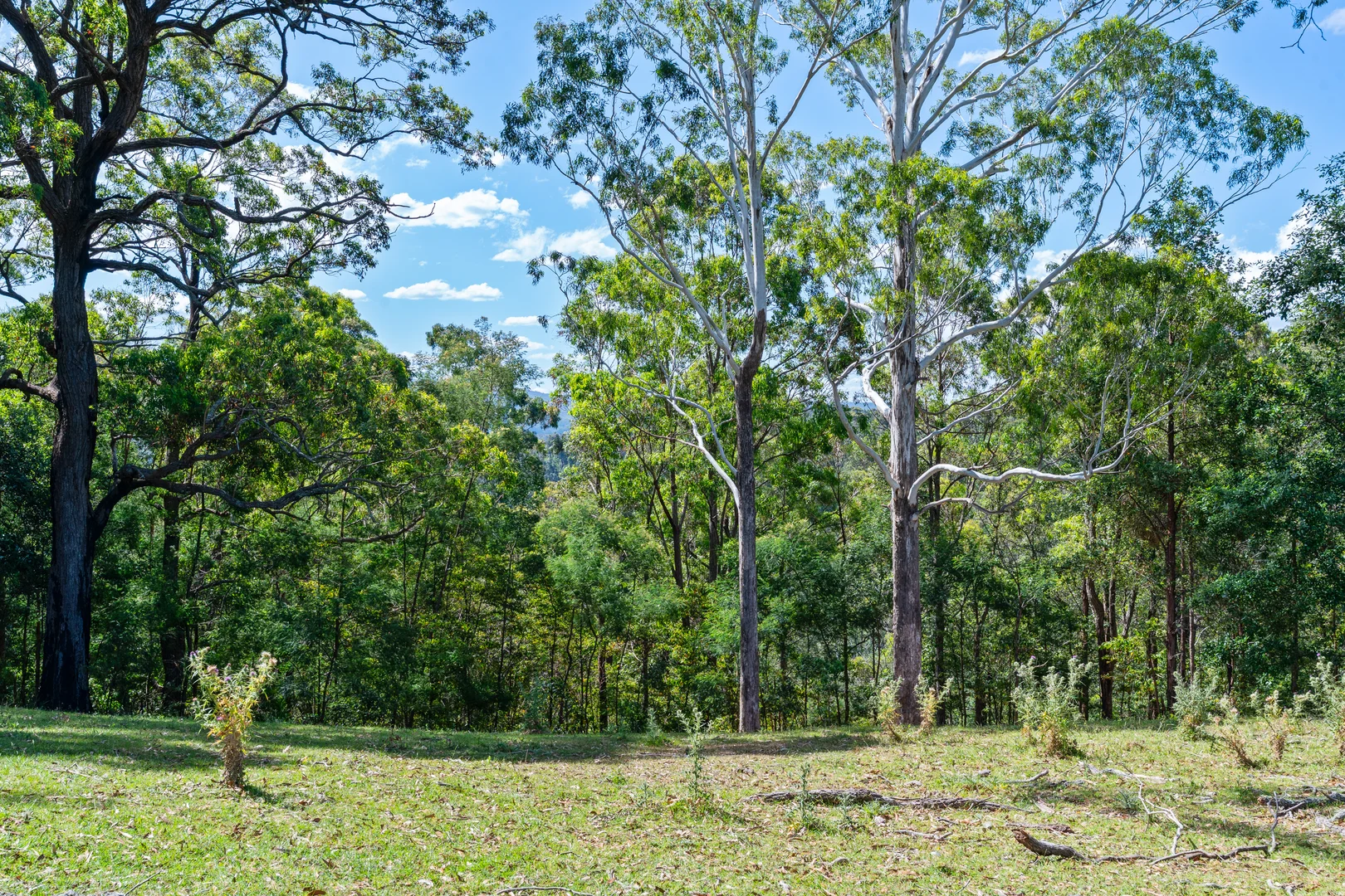 Additional image 14 of 106C Porters Creek Road, Yatte Yattah NSW 2539