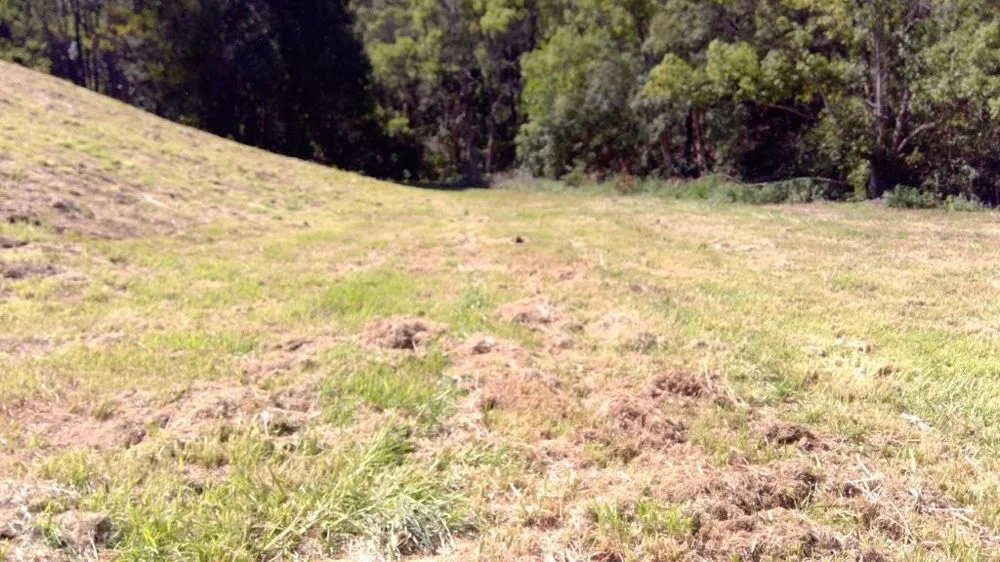 Additional image 11 of 622A Simpson Ridge Road, South Arm NSW 2449