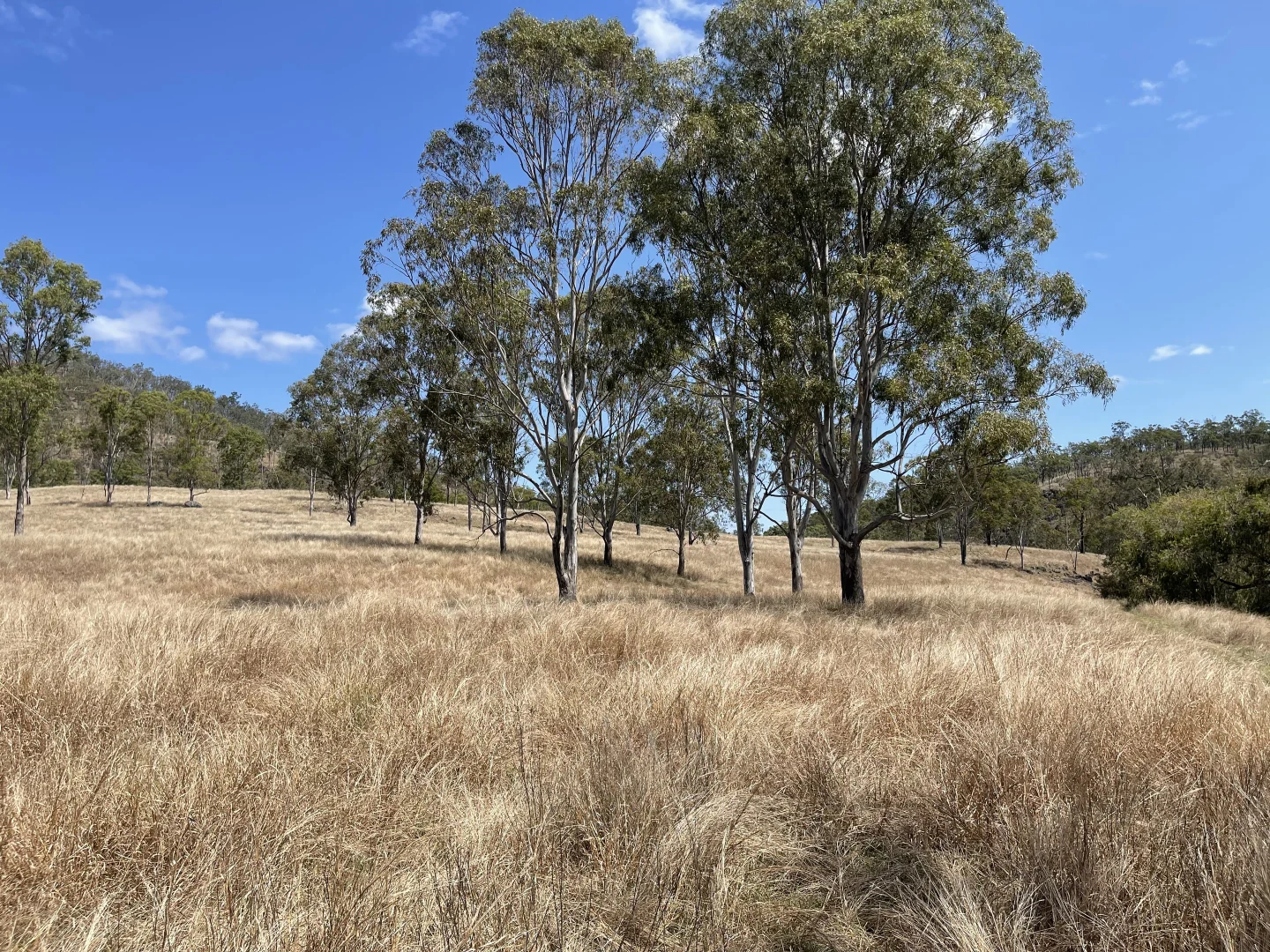 Additional image 15 of 4900 Tableland Road, Tablelands QLD 4680