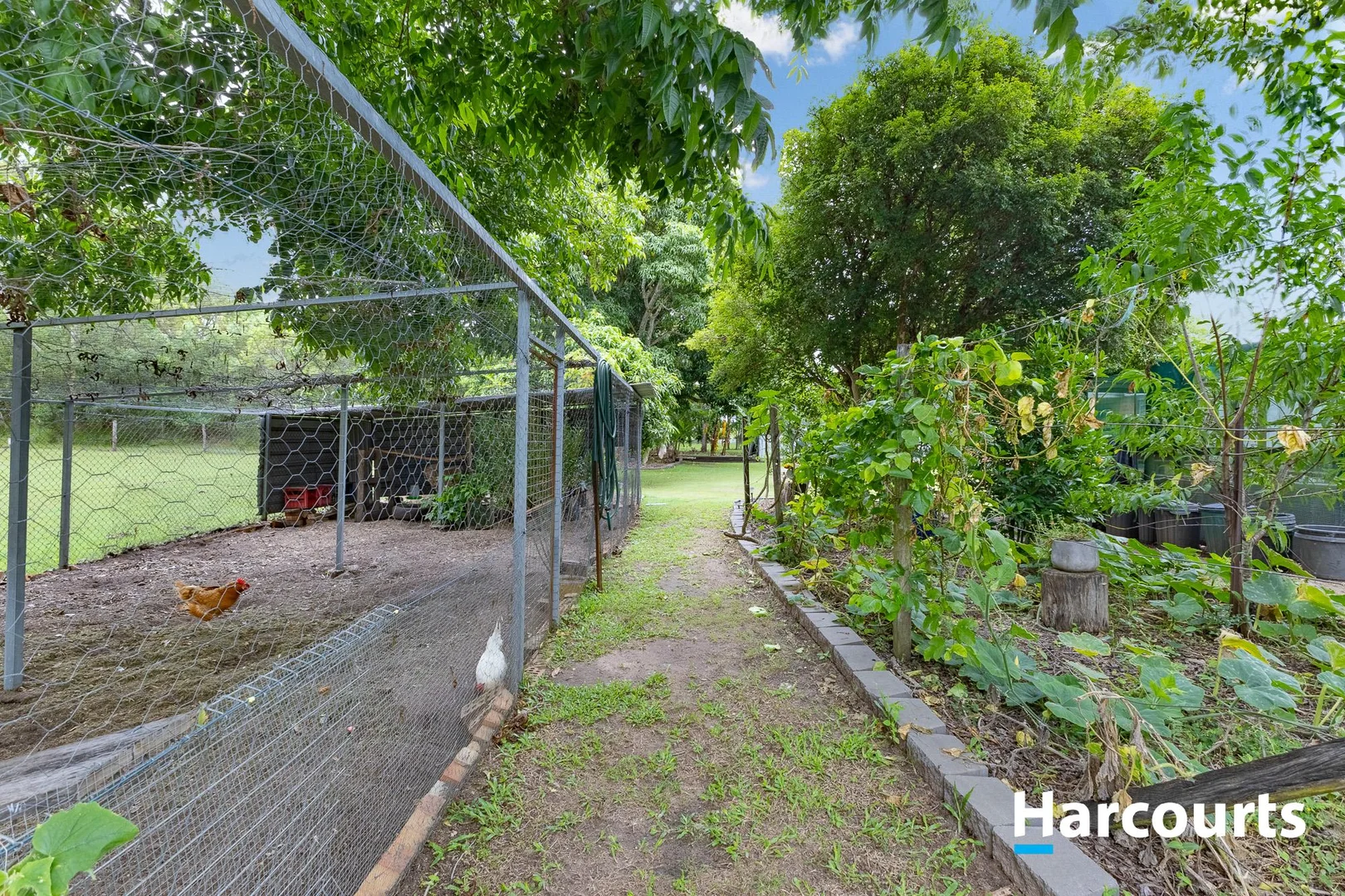 Additional image 19 of 8 JACKSONS ROAD, South Isis QLD 4660