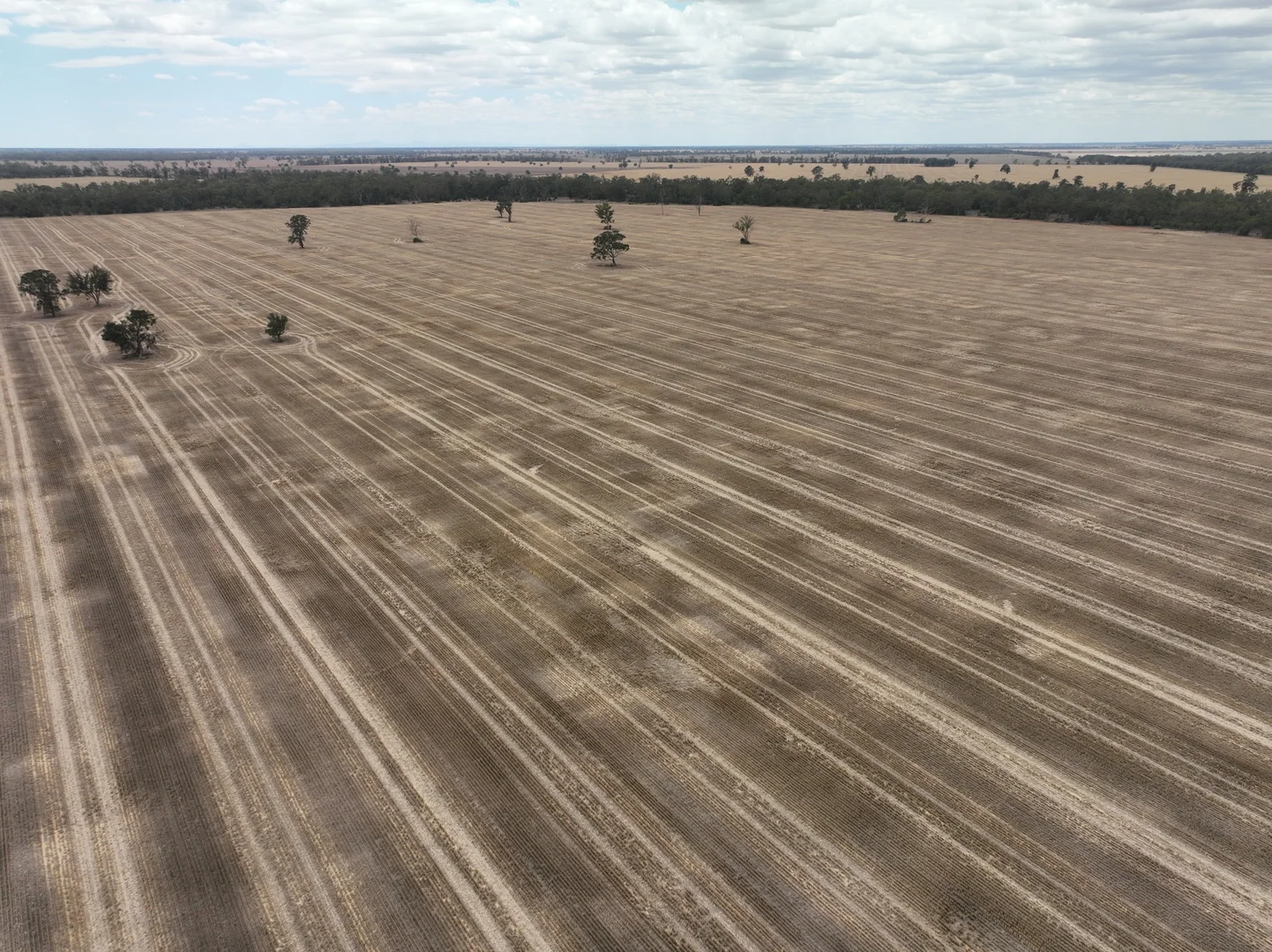 Additional image 23 of 'The Pines' 211 Dicks Camp Road, Collie NSW 2827