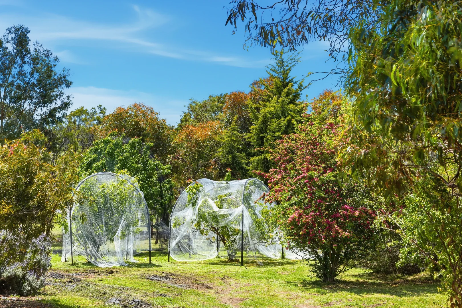 Additional image 31 of 293 Back Tea Tree Road, Richmond TAS 7025