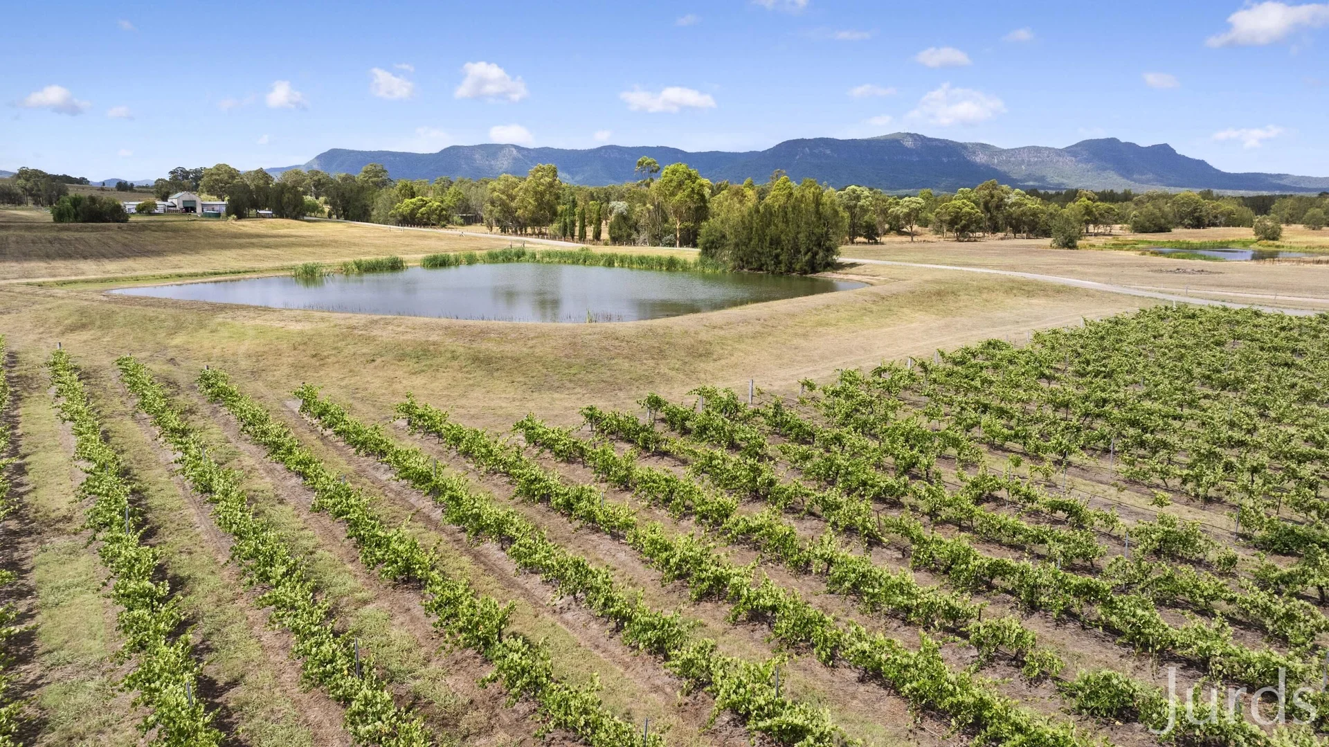 Additional image 28 of 223 Deasys Road, Pokolbin NSW 2320