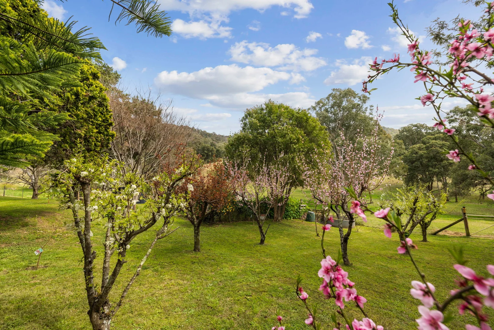 Additional image 31 of 322 Neringla Road, Braidwood NSW 2622