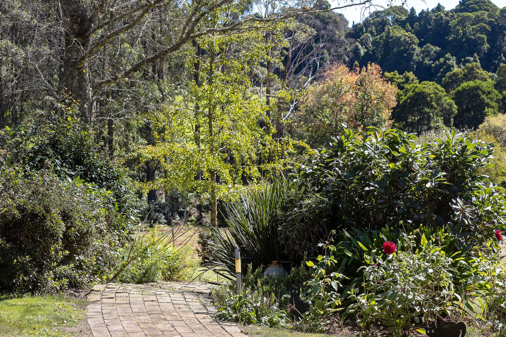 Additional image 16 of 81 Pearsons Lane, Robertson NSW 2577