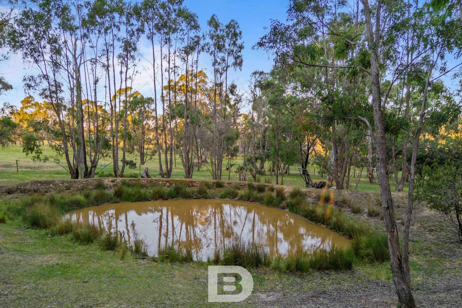 Additional image 12 of 212 Portwines Road, Lauriston VIC 3444