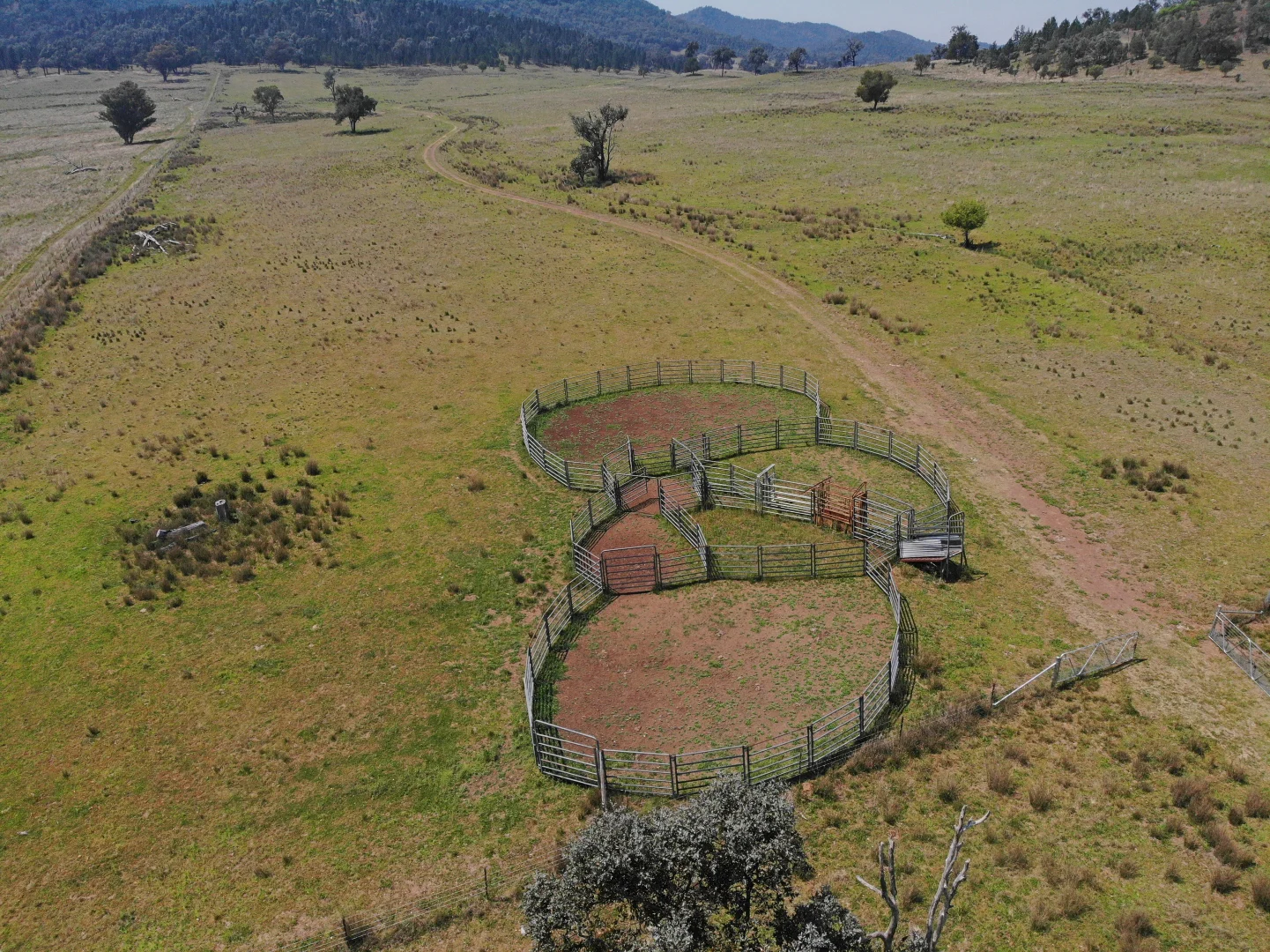 Additional image 19 of Riverview Road, Bingara NSW 2404