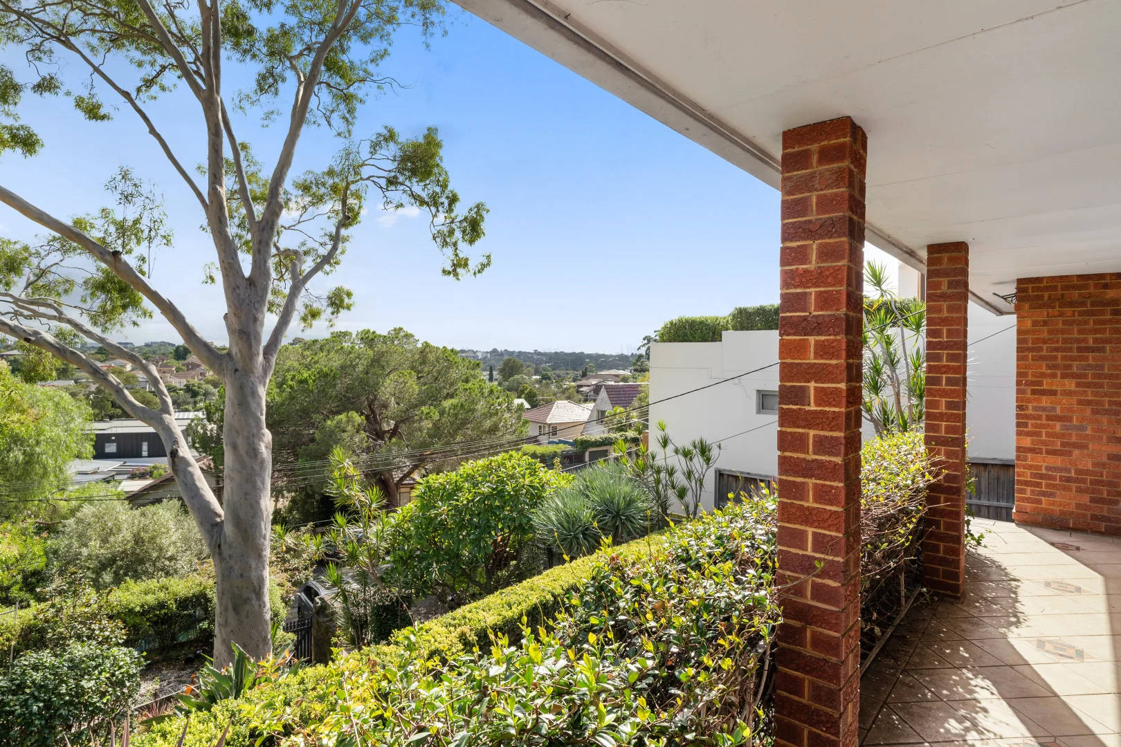 Additional image 14 of 24 Wellington Road, Earlwood NSW 2206