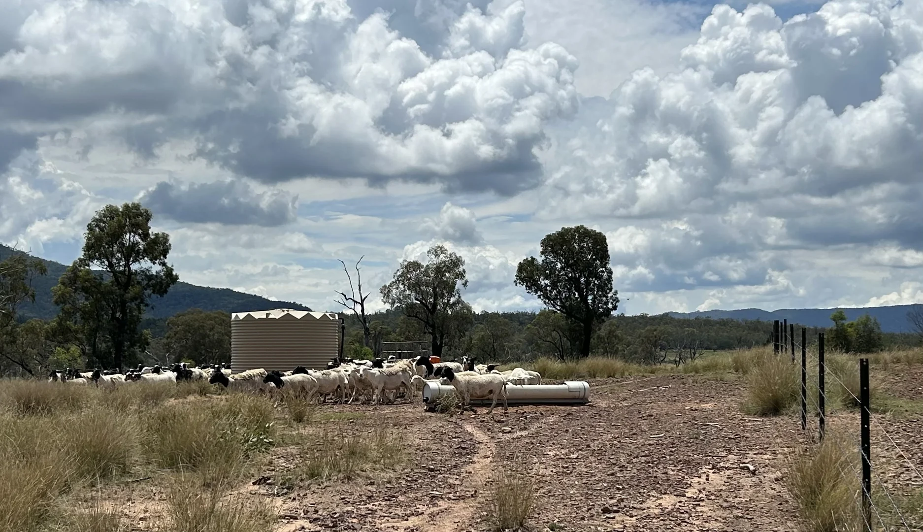 Additional image 41 of 2381. Killarney Gap Road, Narrabri NSW 2390