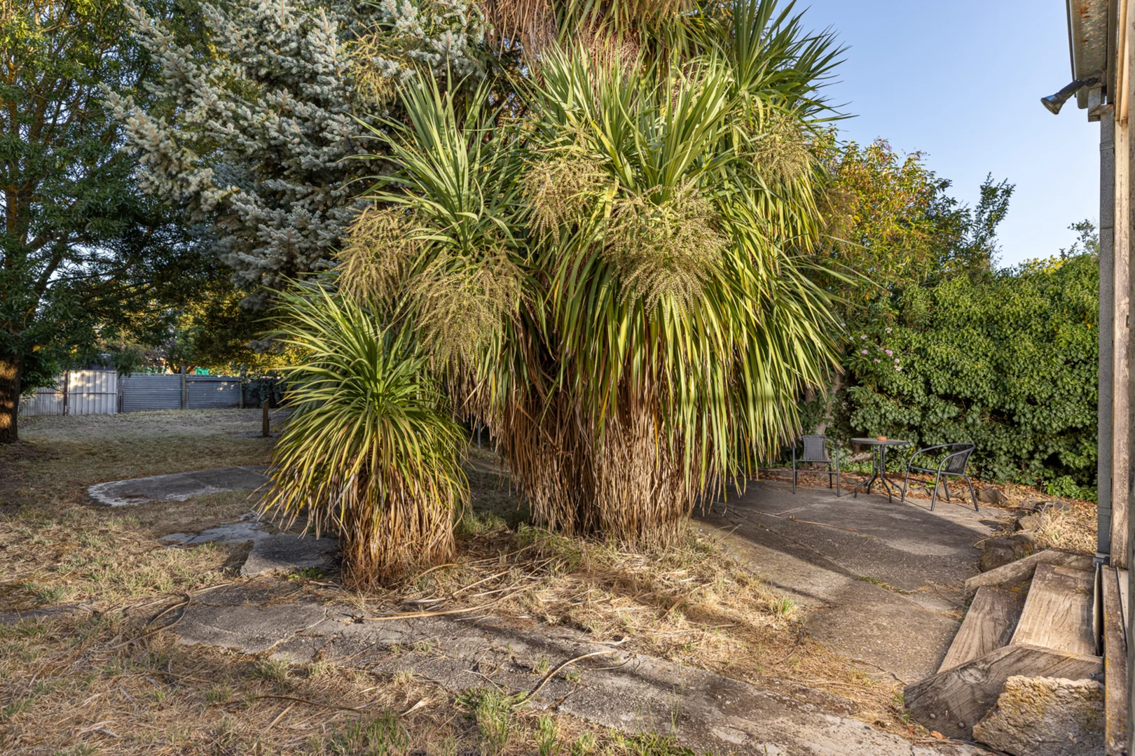 Additional image 7 of 407 Ripon Street, Ballarat Central VIC 3350