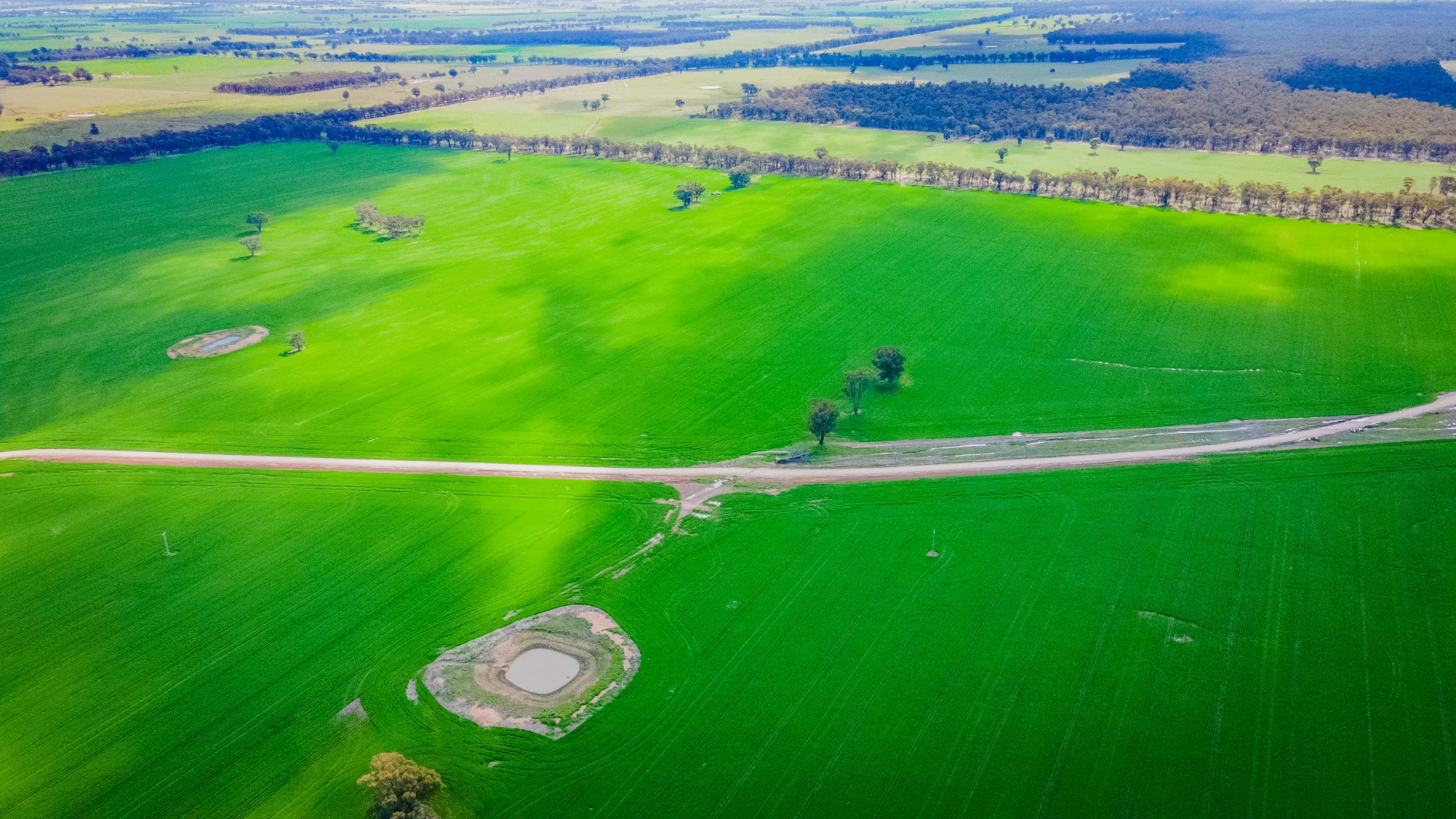 Additional image 4 of 'Marooma' 207 Jepsons Road, Bectric NSW 2665