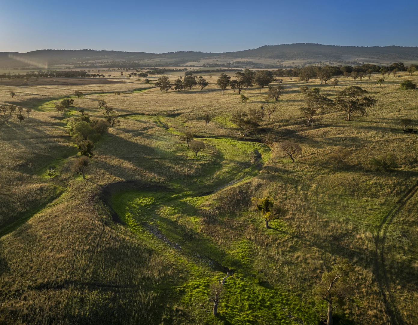Additional image 20 of 'Mountainside' 250 Mountain Side Road, Coolah NSW 2843