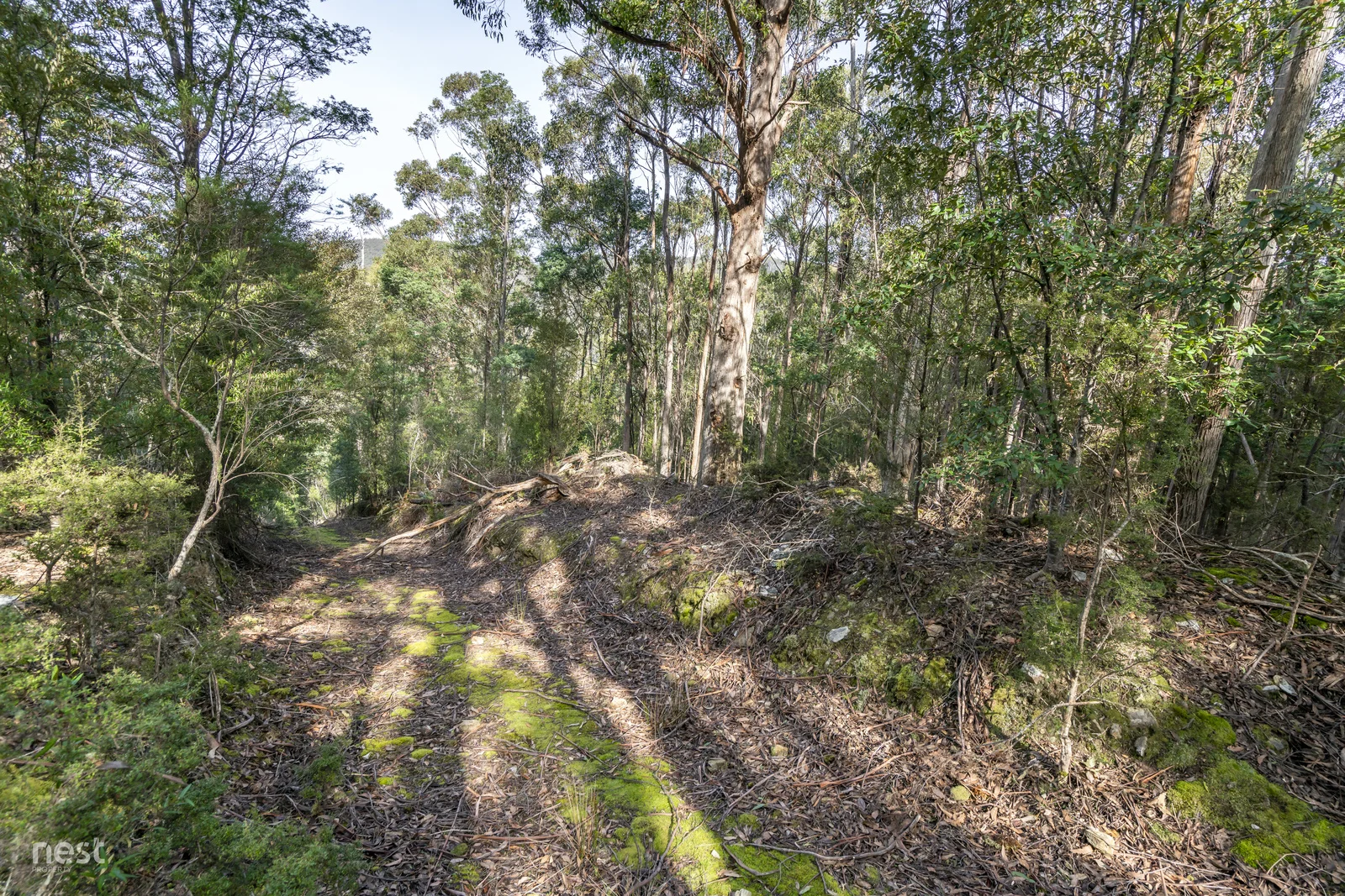 Additional image 12 of 405 Whittons Road, Kettering TAS 7155