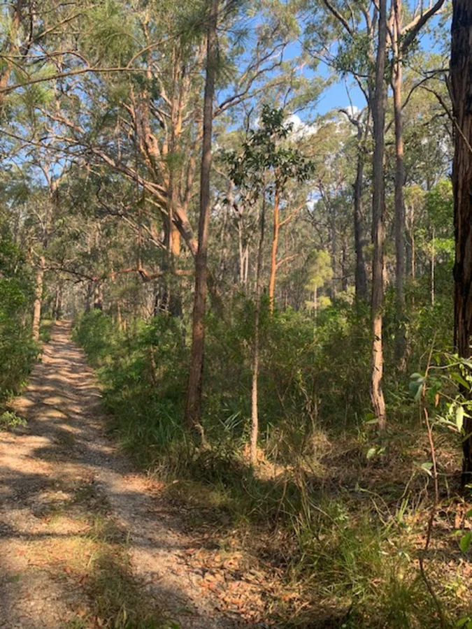 Additional image 8 of Lot 759 DP 13400 (10) City Crescent, North Arm Cove NSW 2324