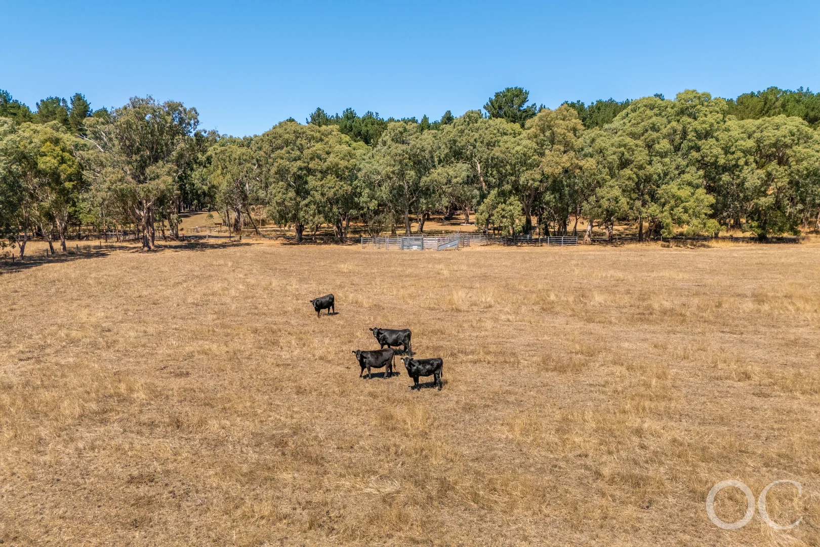 Additional image 5 of 908 Brookman Road, Kuitpo SA 5201