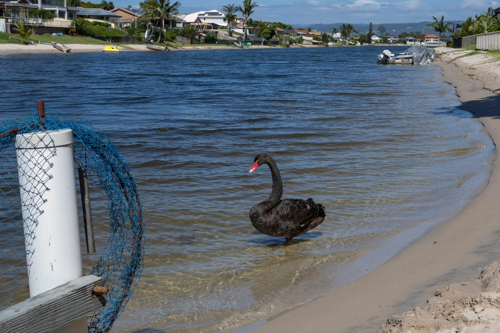 Additional image 24 of 59 Pintail Crescent, Burleigh Waters QLD 4220