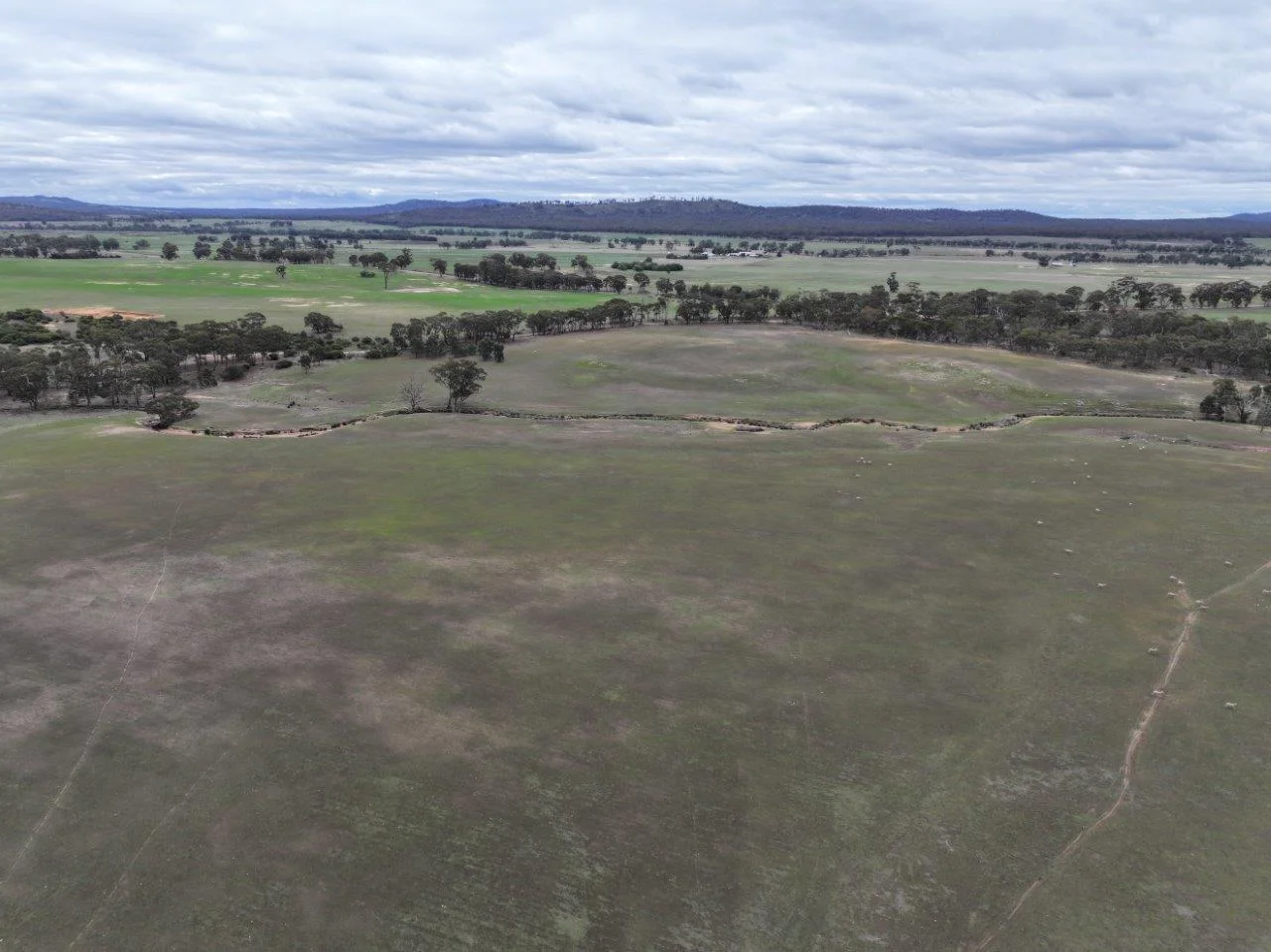 Additional image 13 of Lot 1 Rheola - Llanelly Road, Murphys Creek VIC 3551