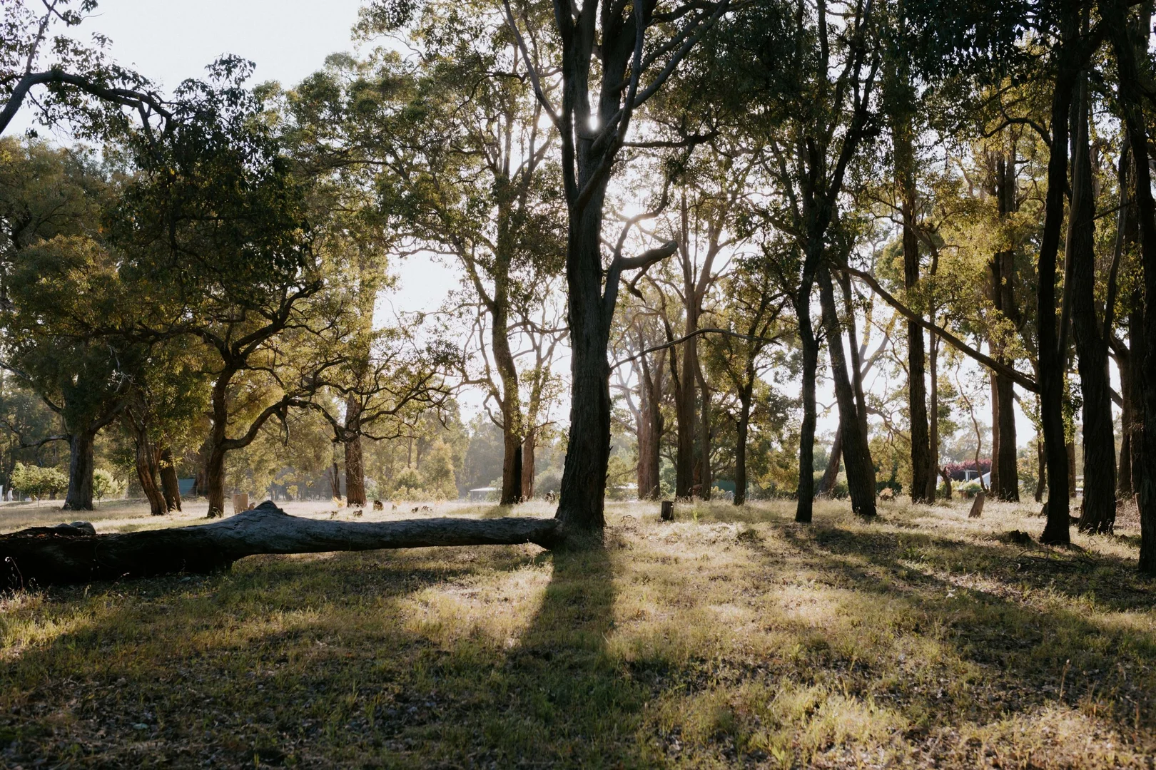 Additional image 27 of Mount Helena WA 6082