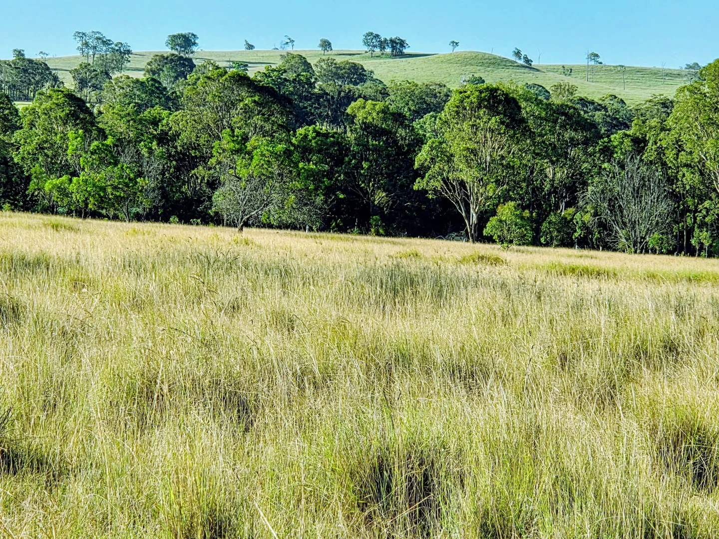 Additional image 17 of Lot 24 Cnr. of the New England Highway & Jacob Road, Crows Nest QLD 4355
