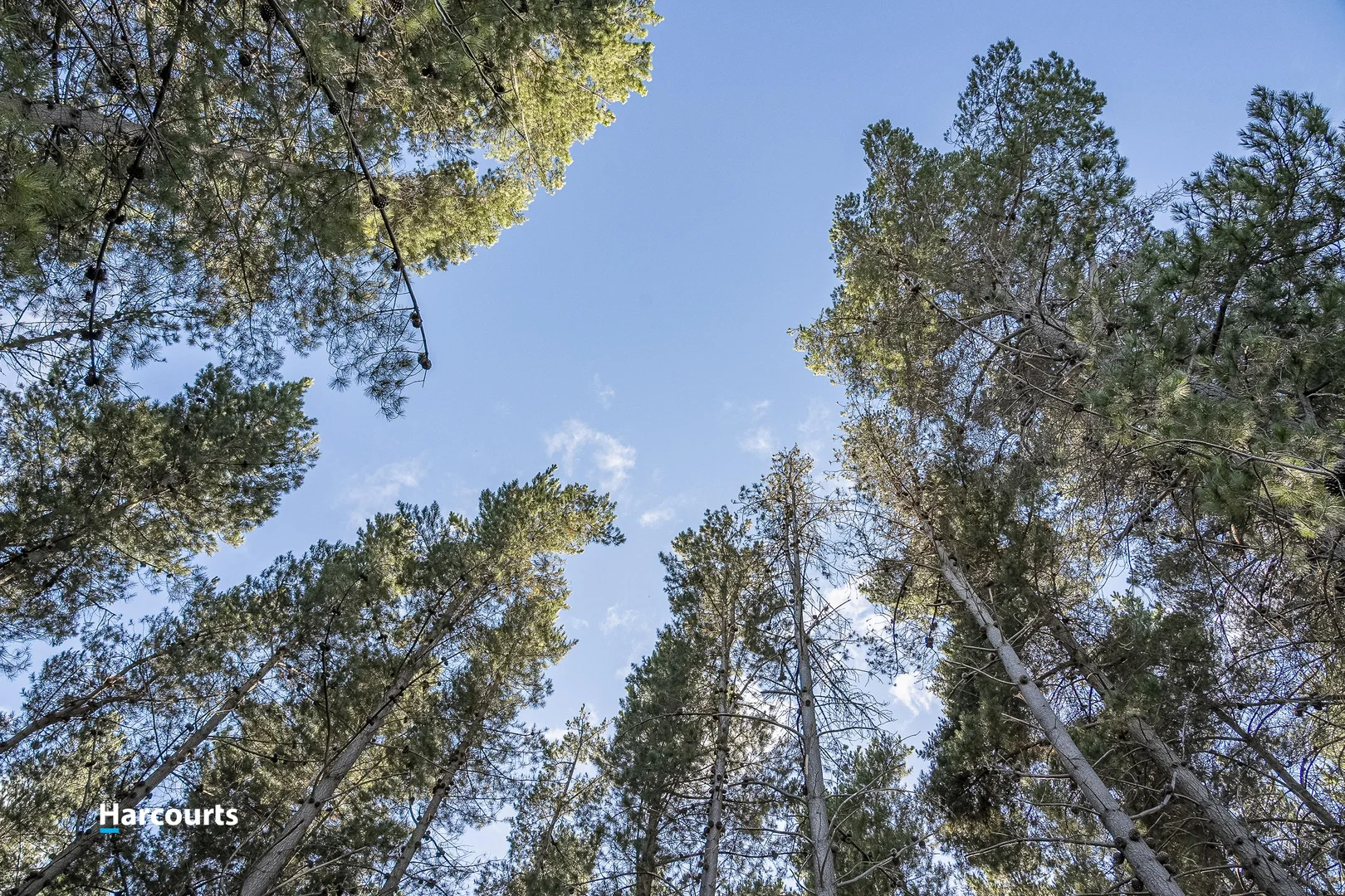 Additional image 6 of 38 Autumn Road, Cradoc TAS 7109