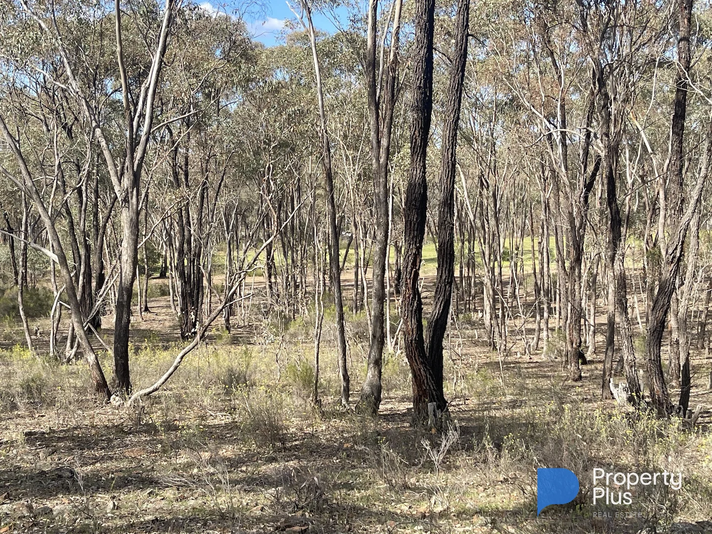 Additional image 10 of CA 37H Olympic Parade, Maiden Gully VIC 3551