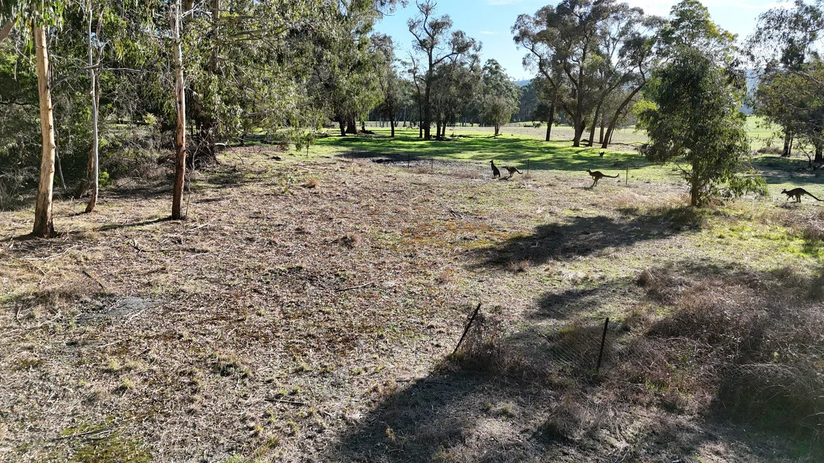 Additional image 11 of 2390 Colac -Lavers Hill Road, Gellibrand VIC 3239