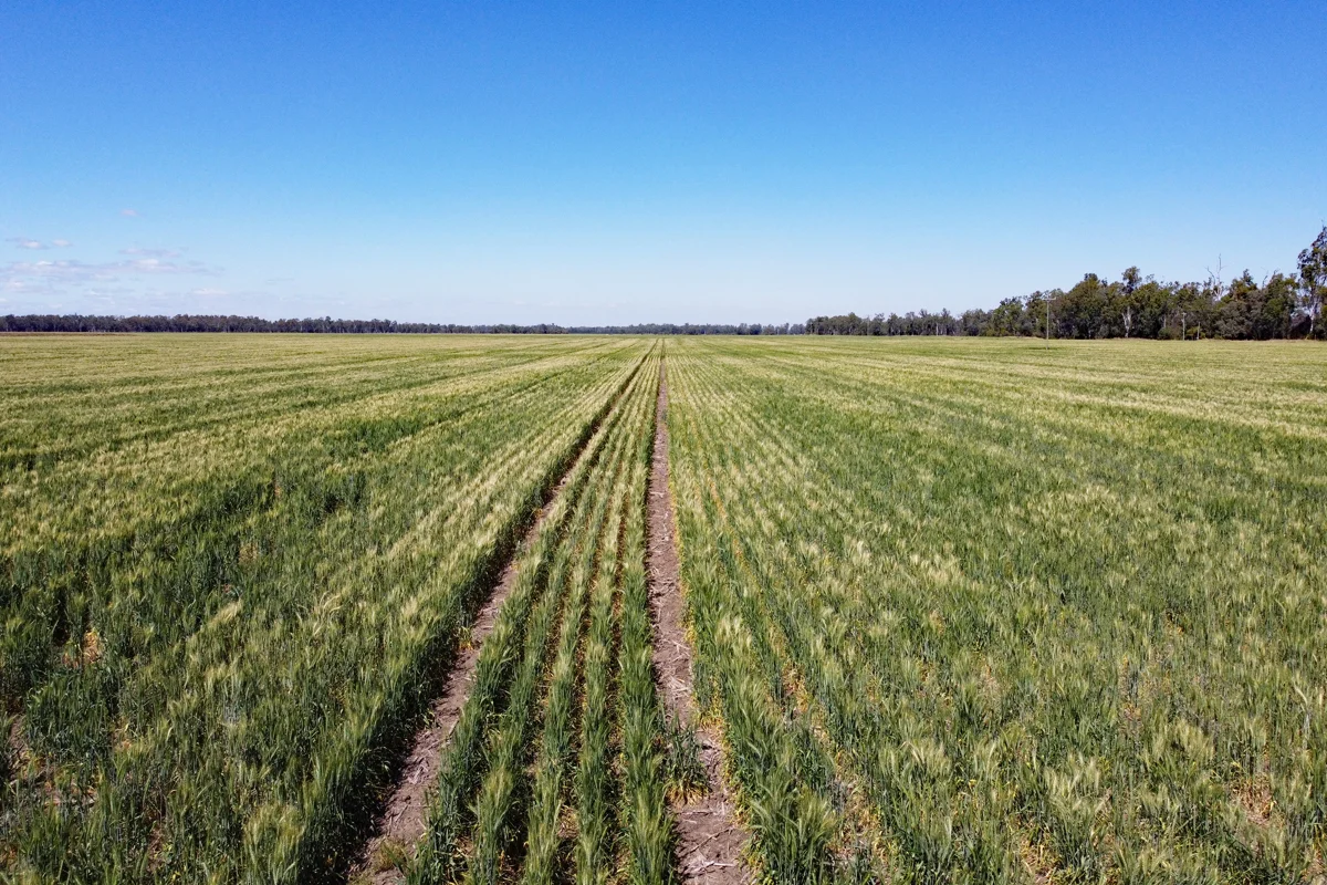 Additional image 6 of "Edenbelle" Lake Pleasant Road, Goovigen QLD 4702