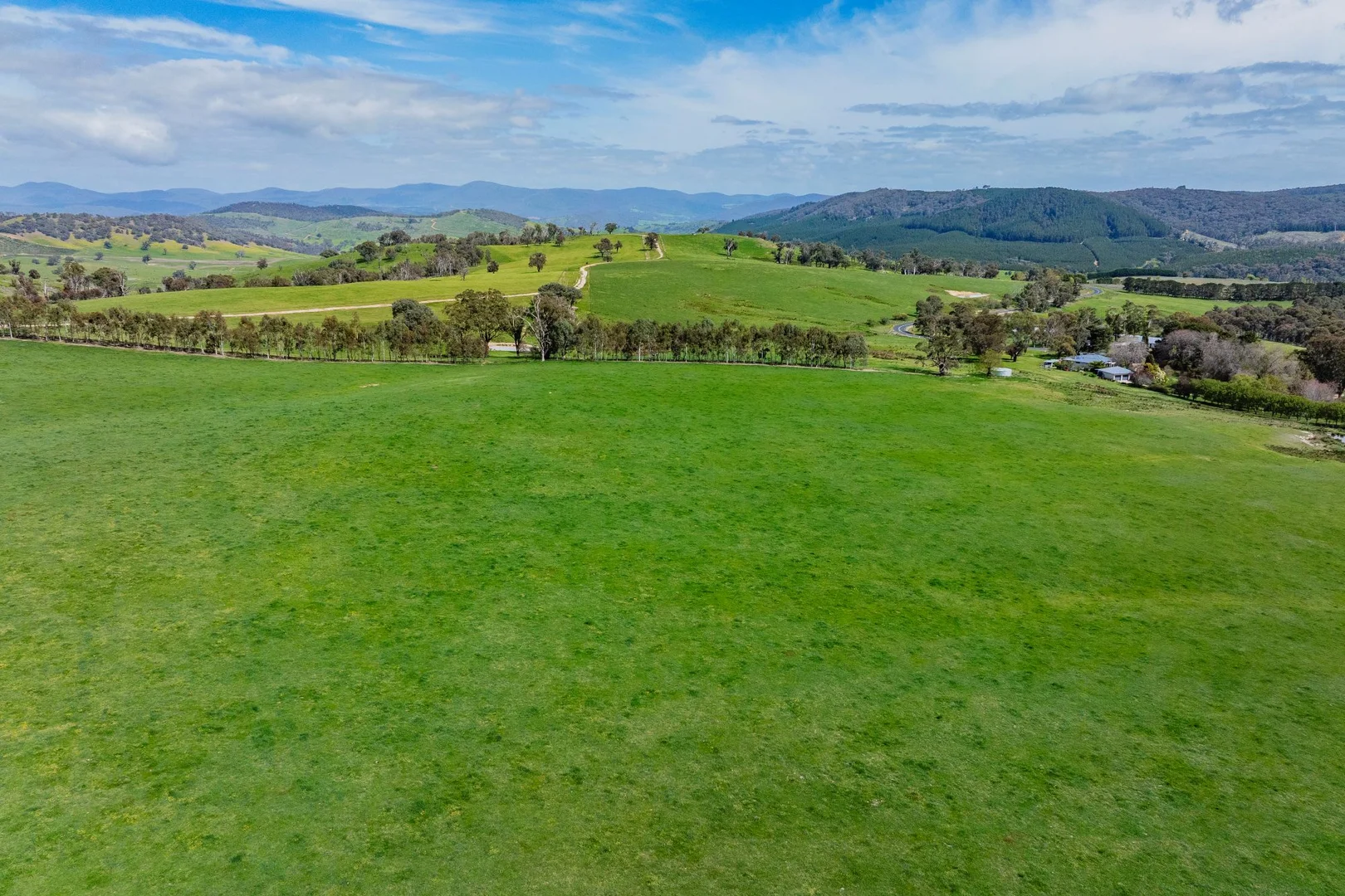 Additional image 2 of 2026 Jingellic Road, Tumbarumba NSW 2653