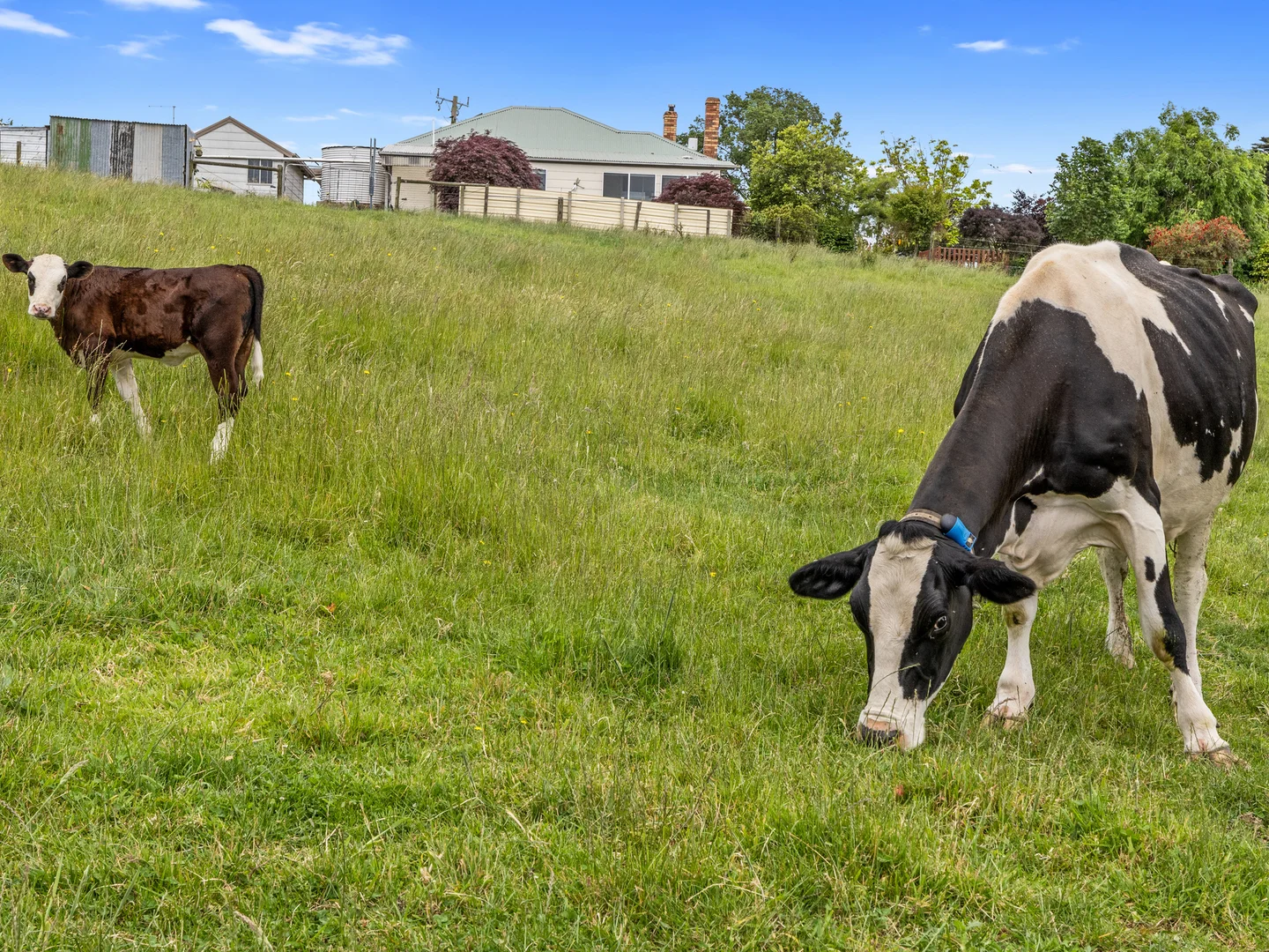 Additional image 22 of 122 Bells Road, Loch VIC 3945