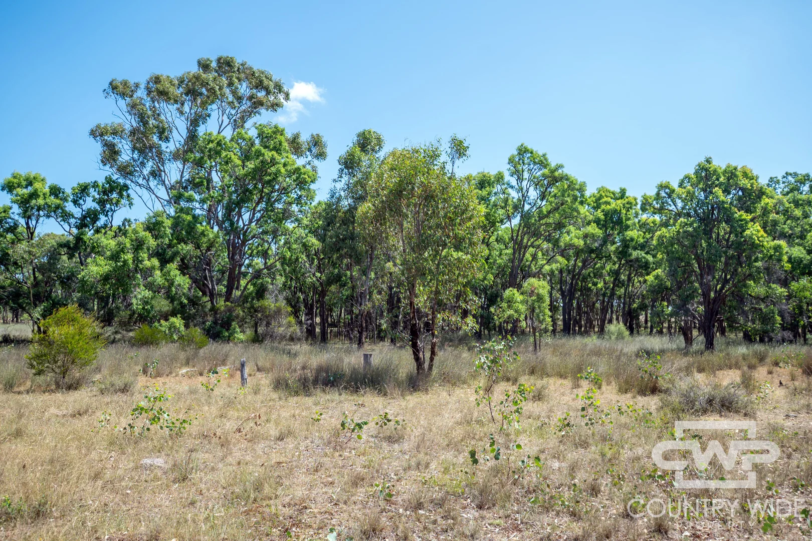 Additional image 18 of 333 Gulf Road, Emmaville NSW 2371