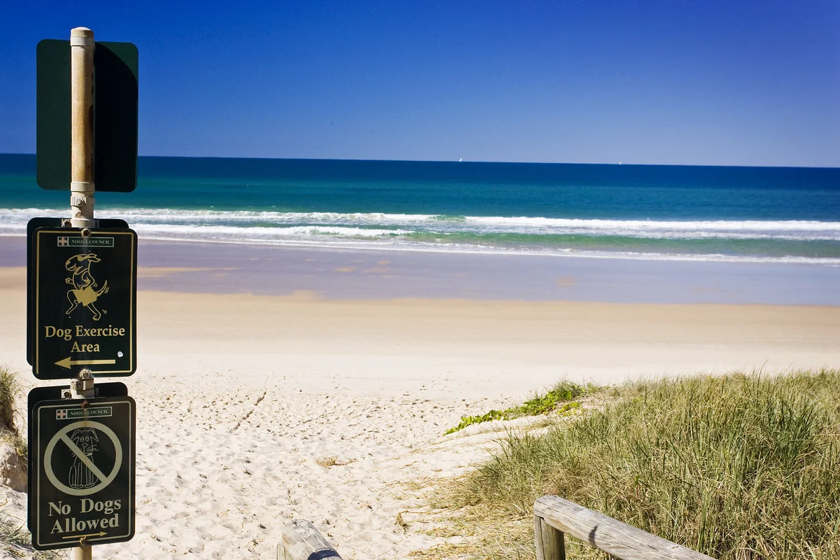 Additional image 11 of 74 Tingira Crescent, Sunrise Beach QLD 4567